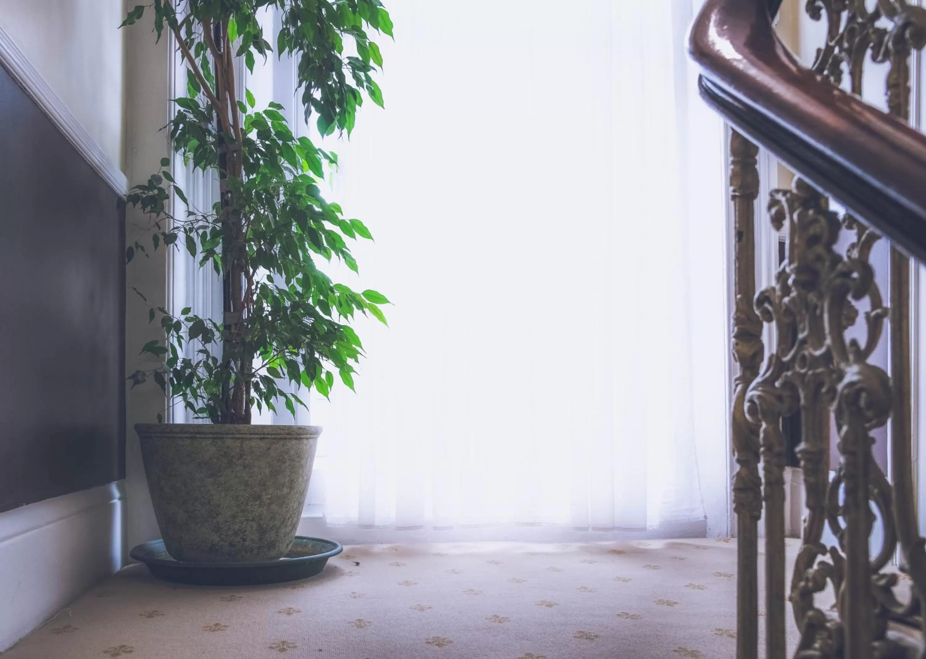 Decorative detail in Shakespeare Hotel