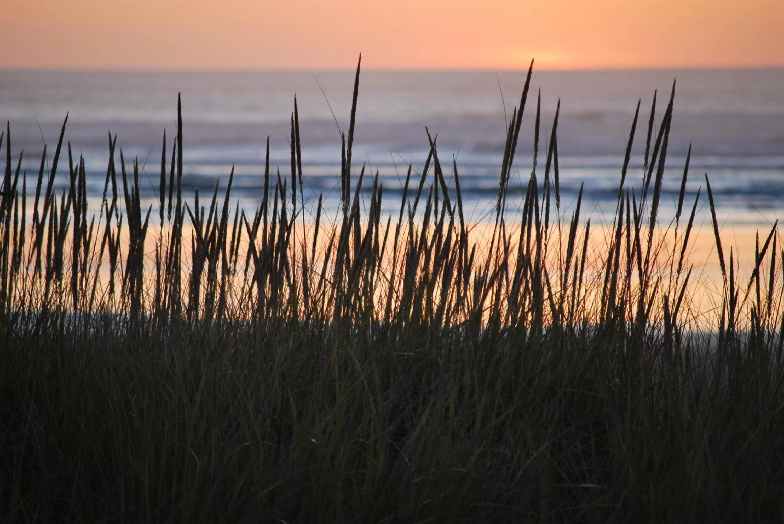 Area and facilities, Sunrise/Sunset in Inn at the Shore