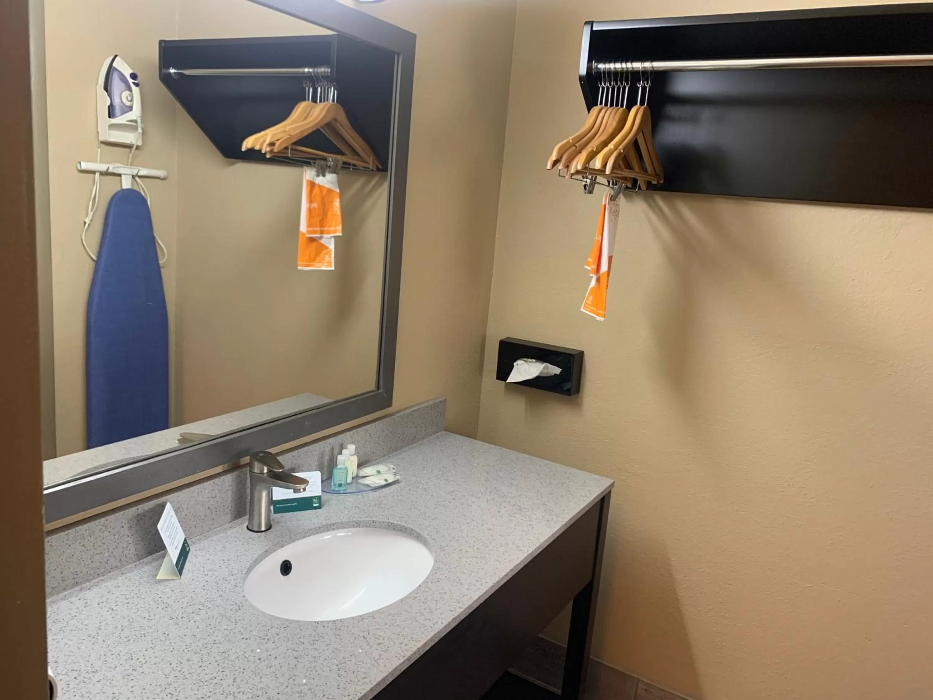 Bathroom in Quality Inn & Suites Brooksville I-75-Dade City