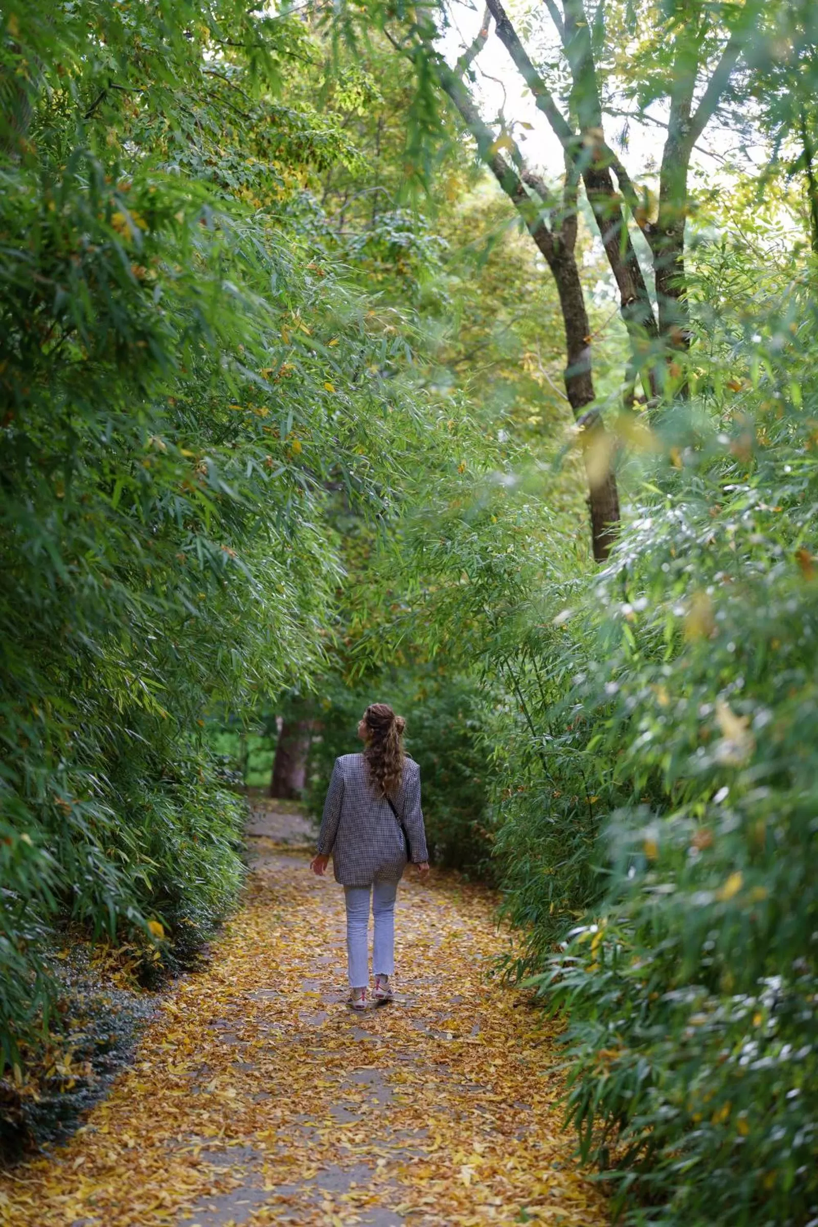 Neighbourhood in Hotel Scarlett