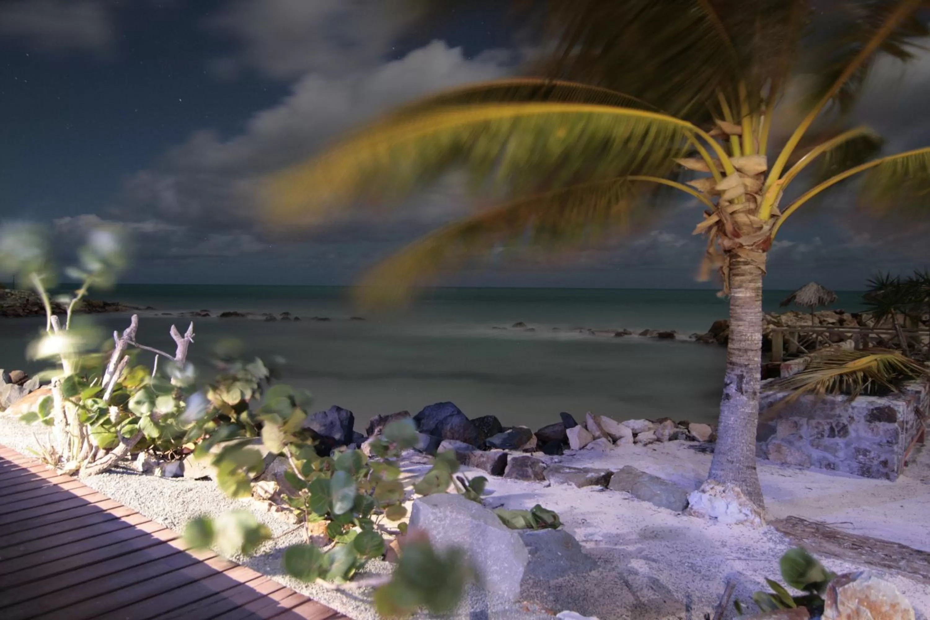 Natural landscape in Northshore Seaside Suites