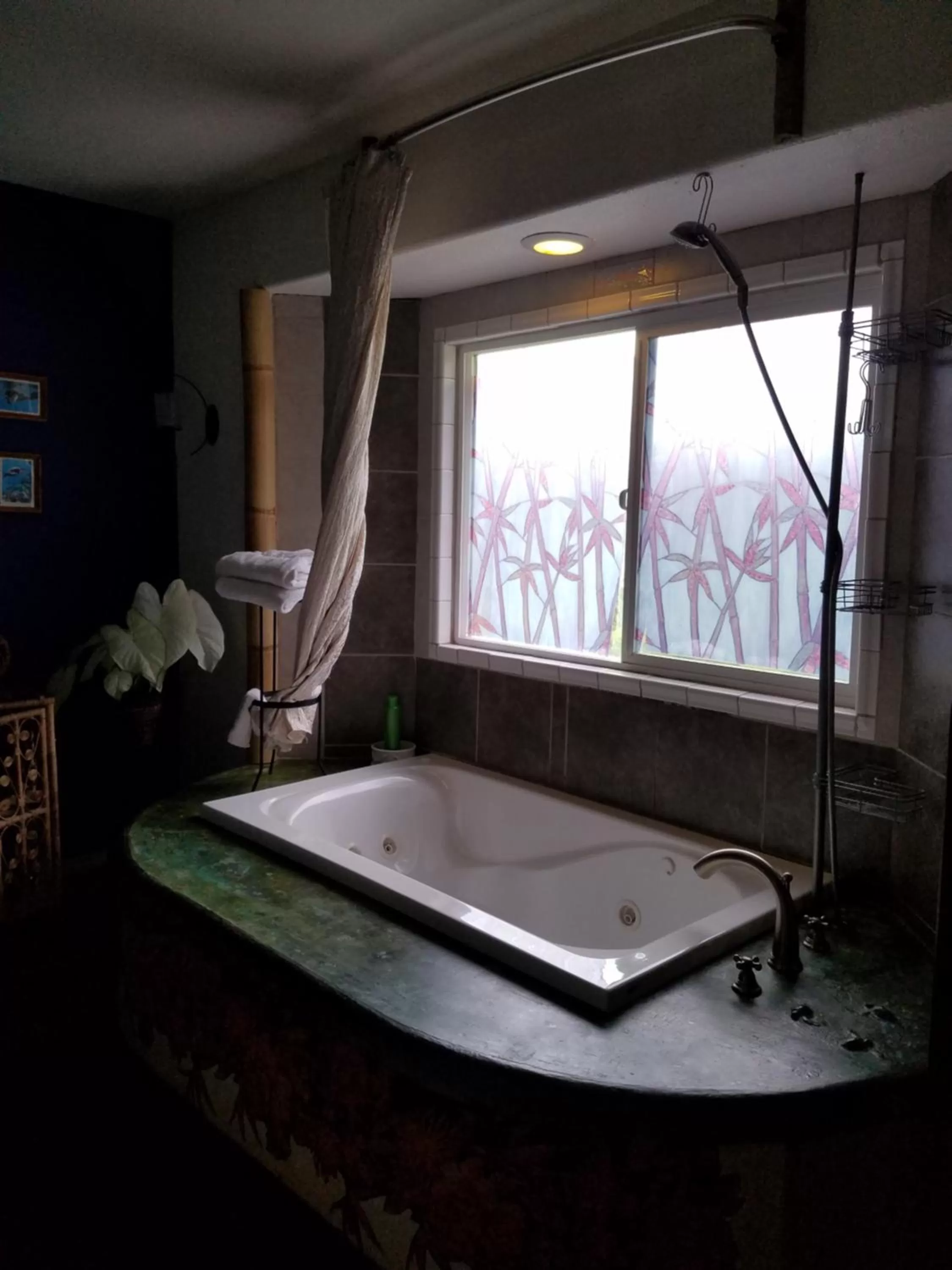 Shower, Bathroom in Aloha Crater Lodge