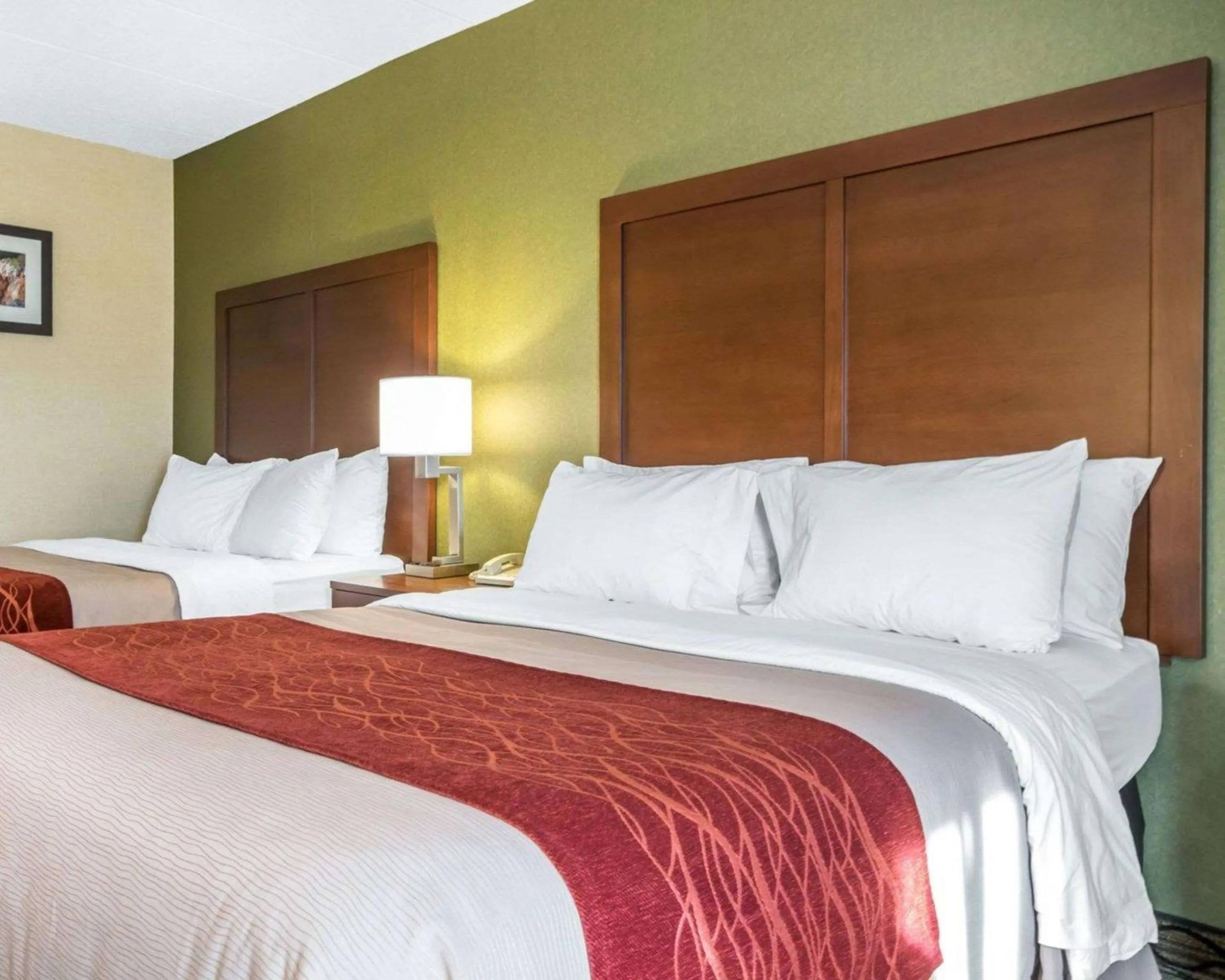 Photo of the whole room in Comfort Inn Winchester