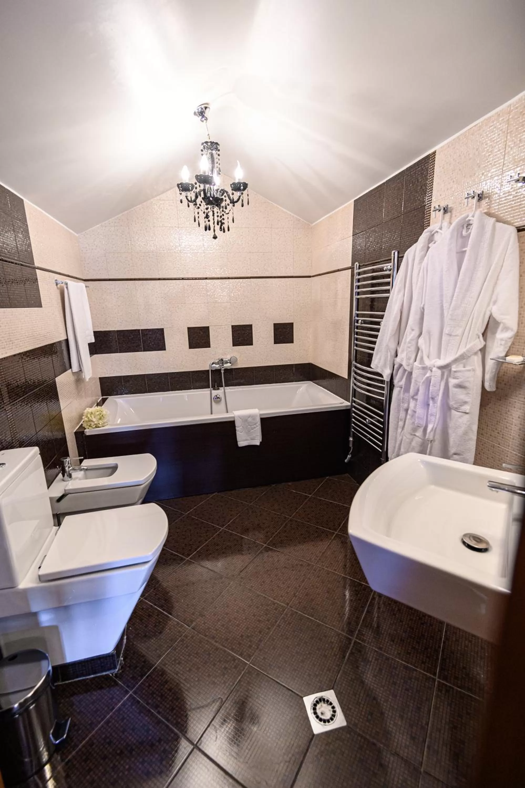 Toilet in Vihren Royal Palace