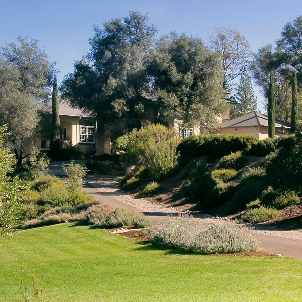 Garden in Bella Vista Bed and Breakfast