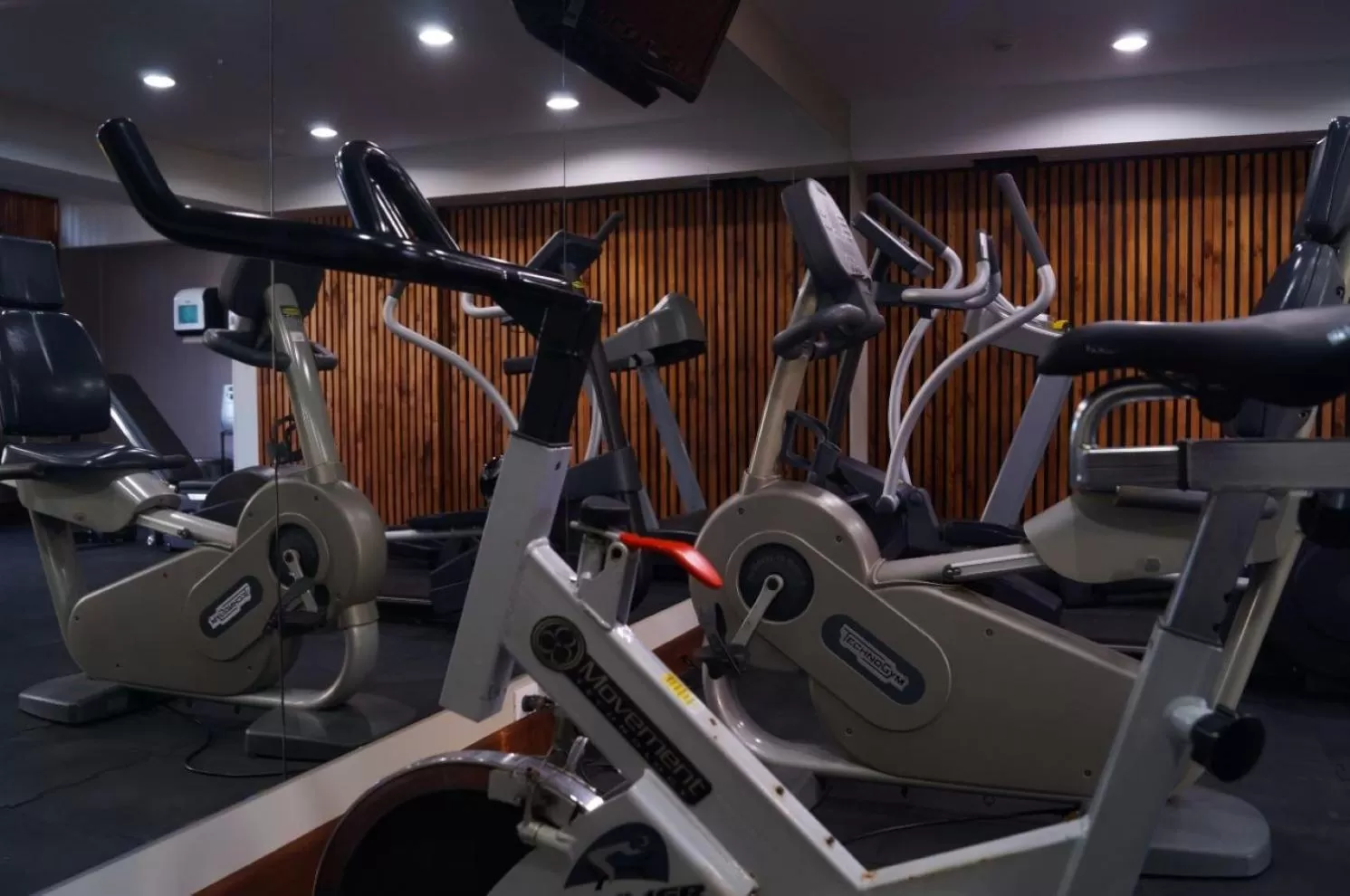 Fitness centre/facilities in Hotel Palma Real