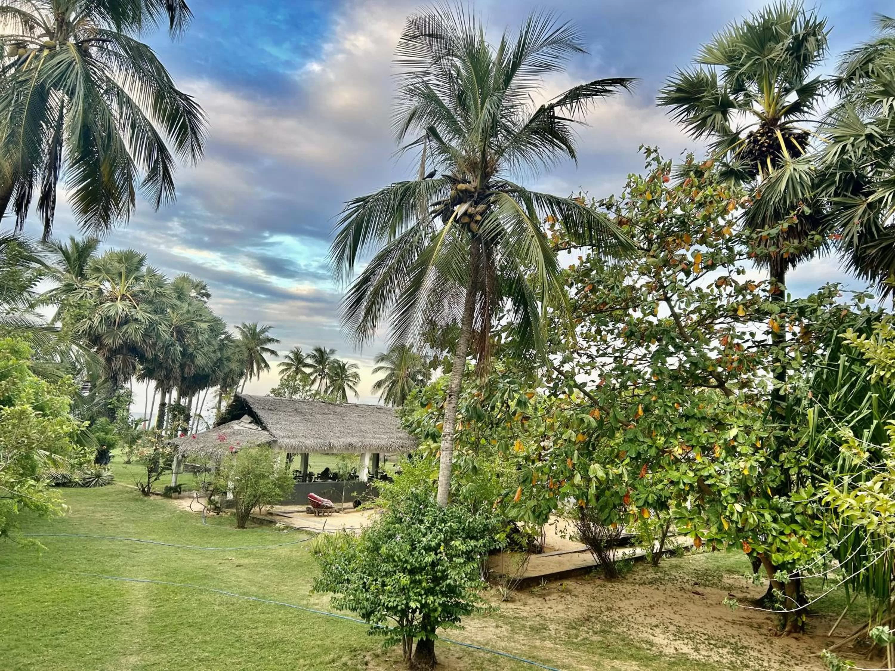 Property Building in 108 Palms Beach Resort