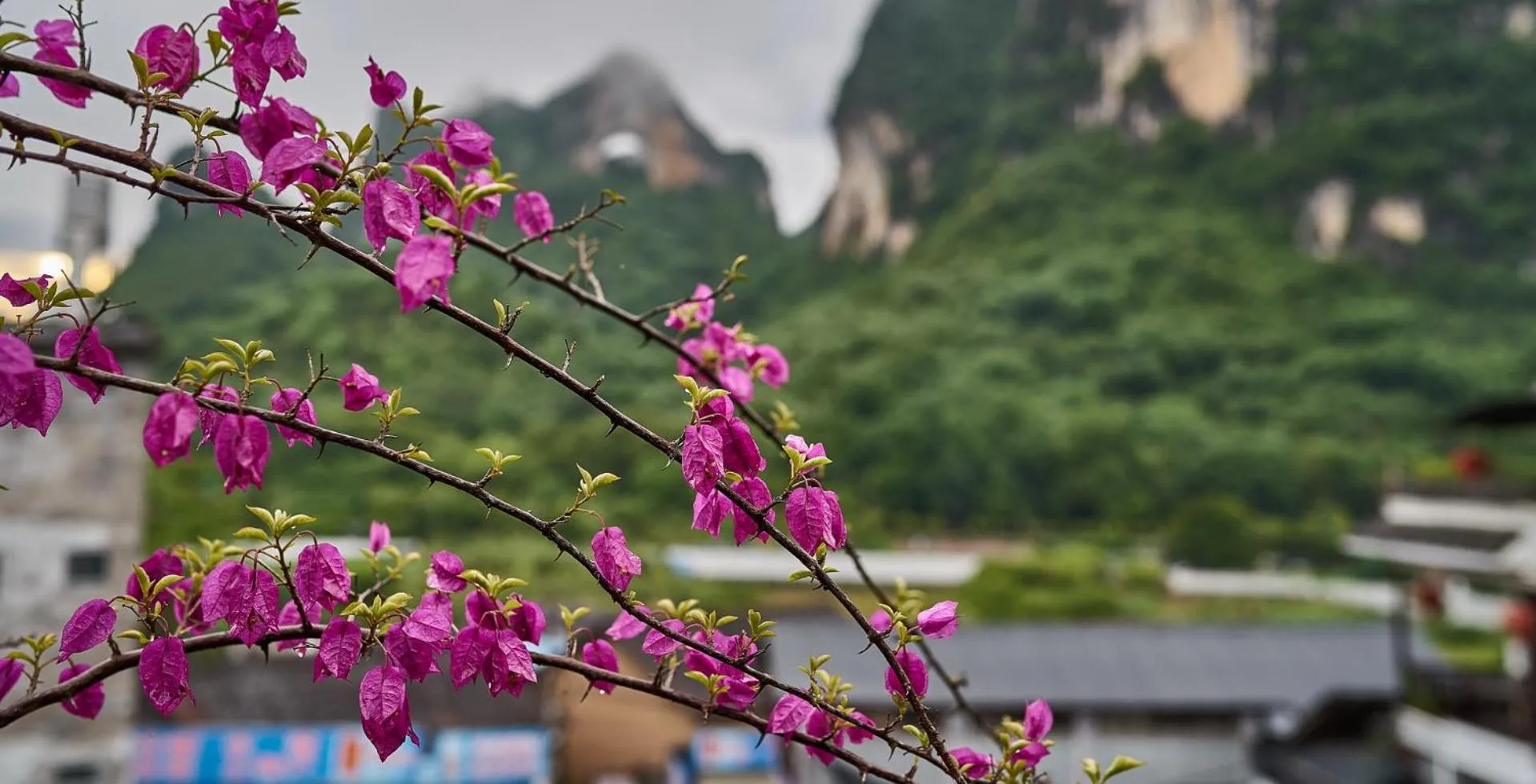 Nearby landmark in Yangshuo Village Inn Boutique Hotel