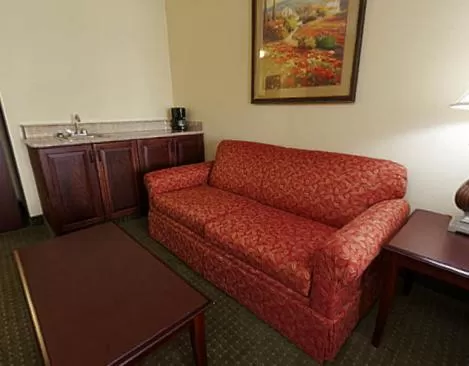 Living room in Holiday Inn Express & Suites Lexington North West-The Vineyard by IHG