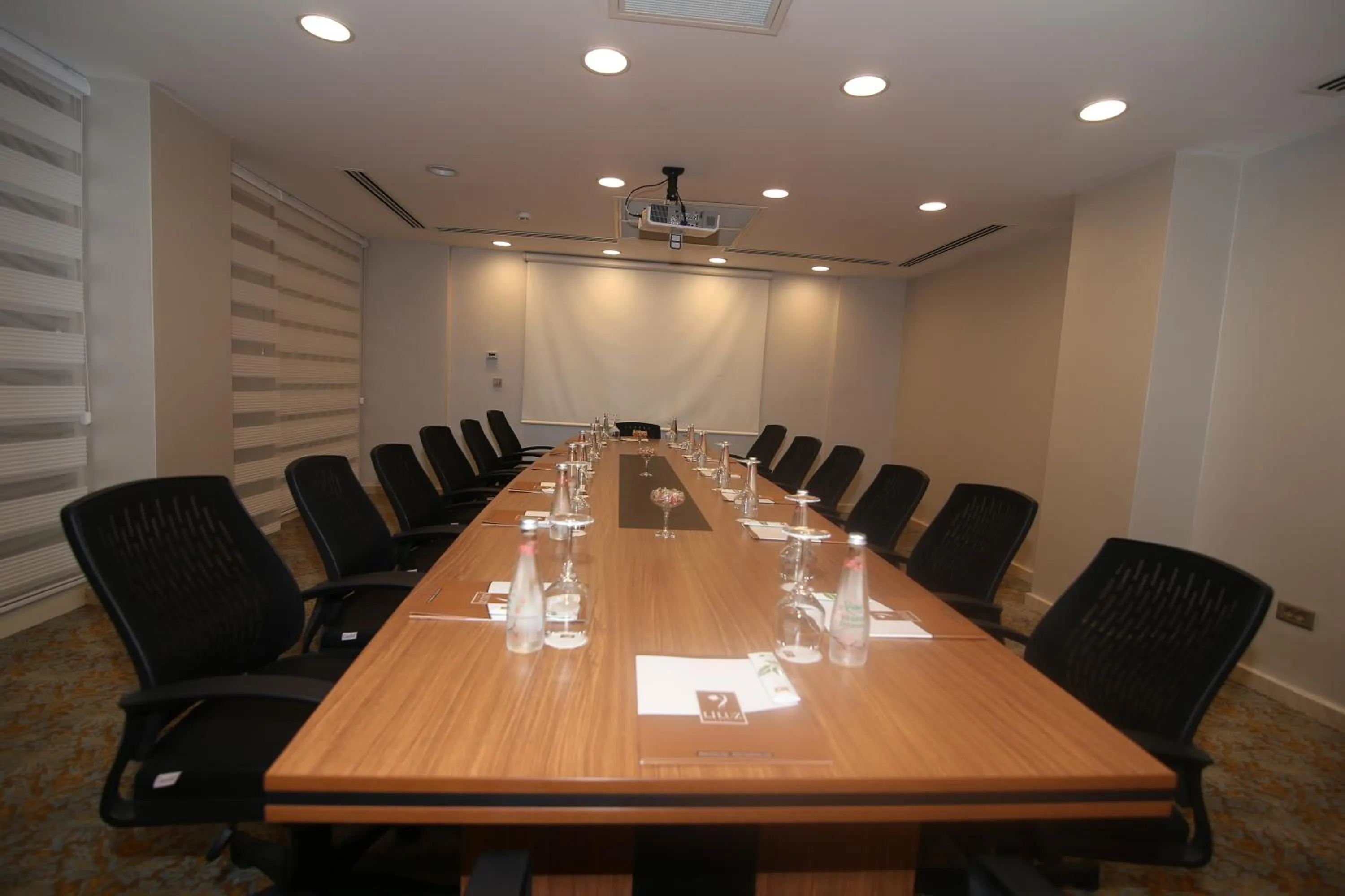 Business facilities in Demir Hotel