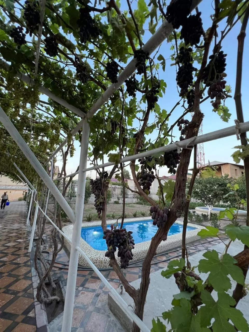 Garden in Samarabonu Hotel