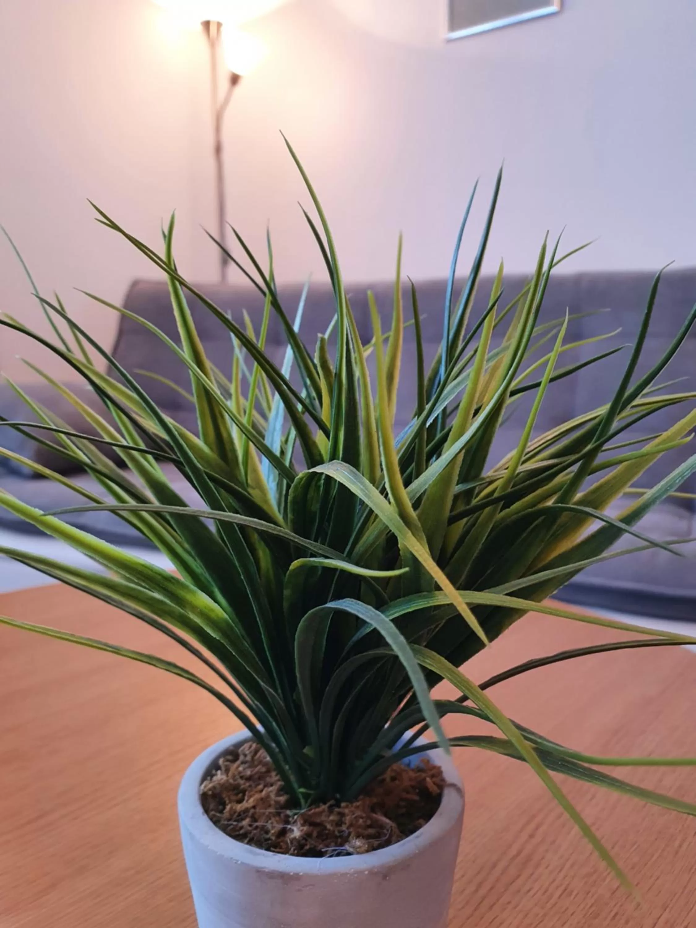 Living room in Kurhotel Anders