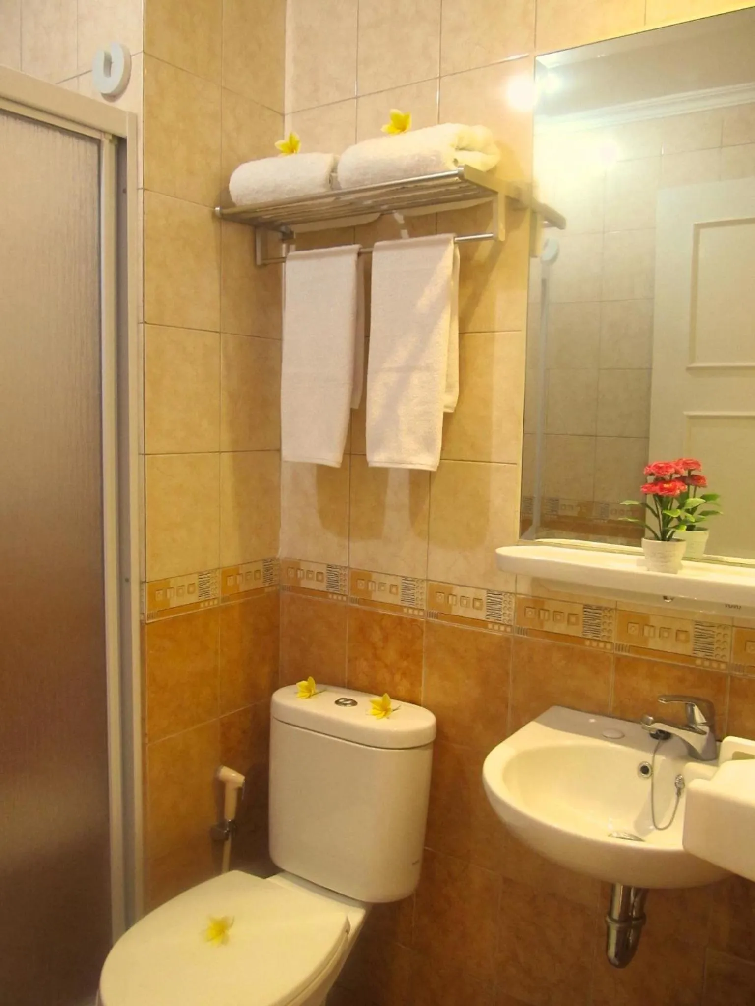 Shower in Ravarine Suite Apartment