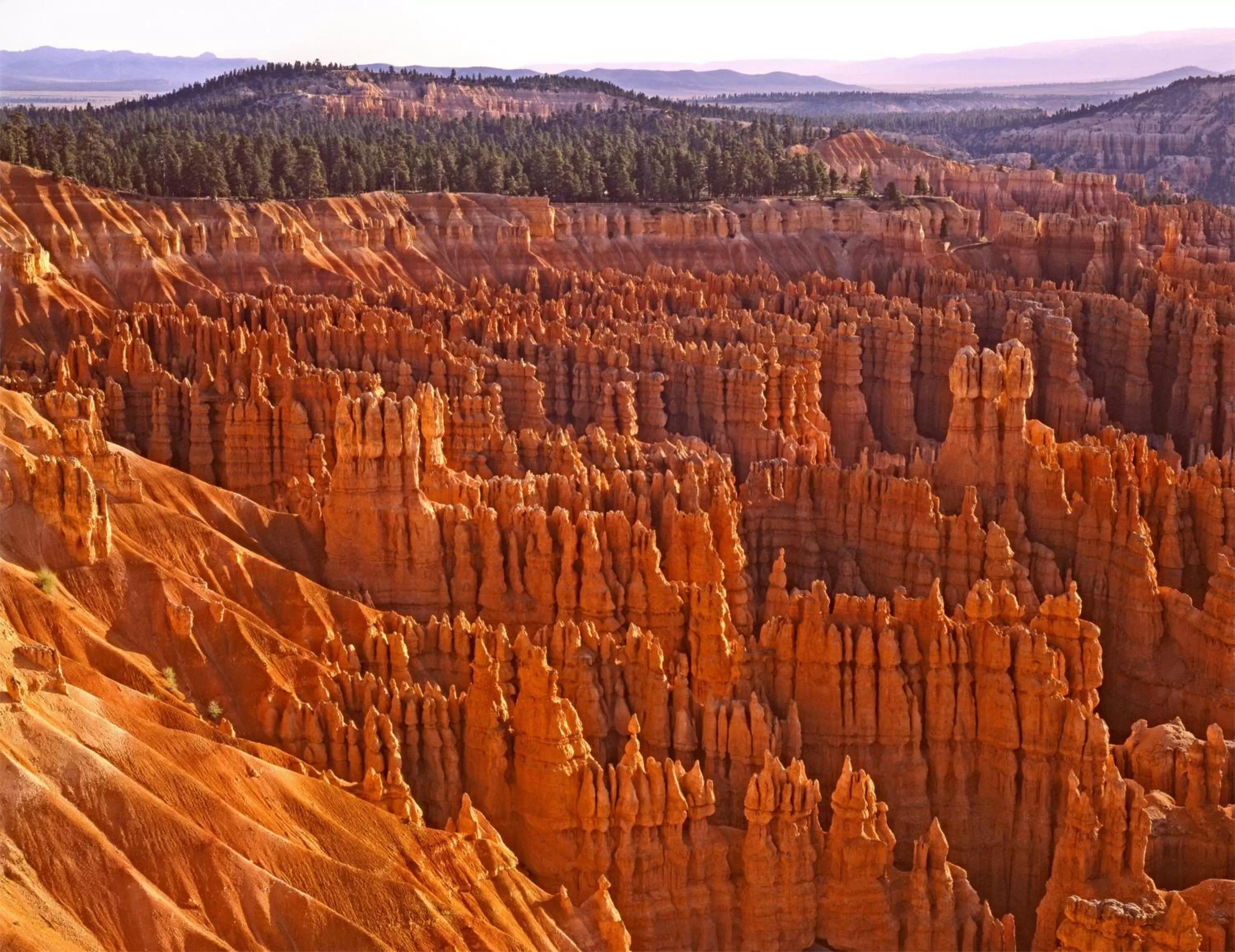 Area and facilities in Staybridge Suites - St George by IHG