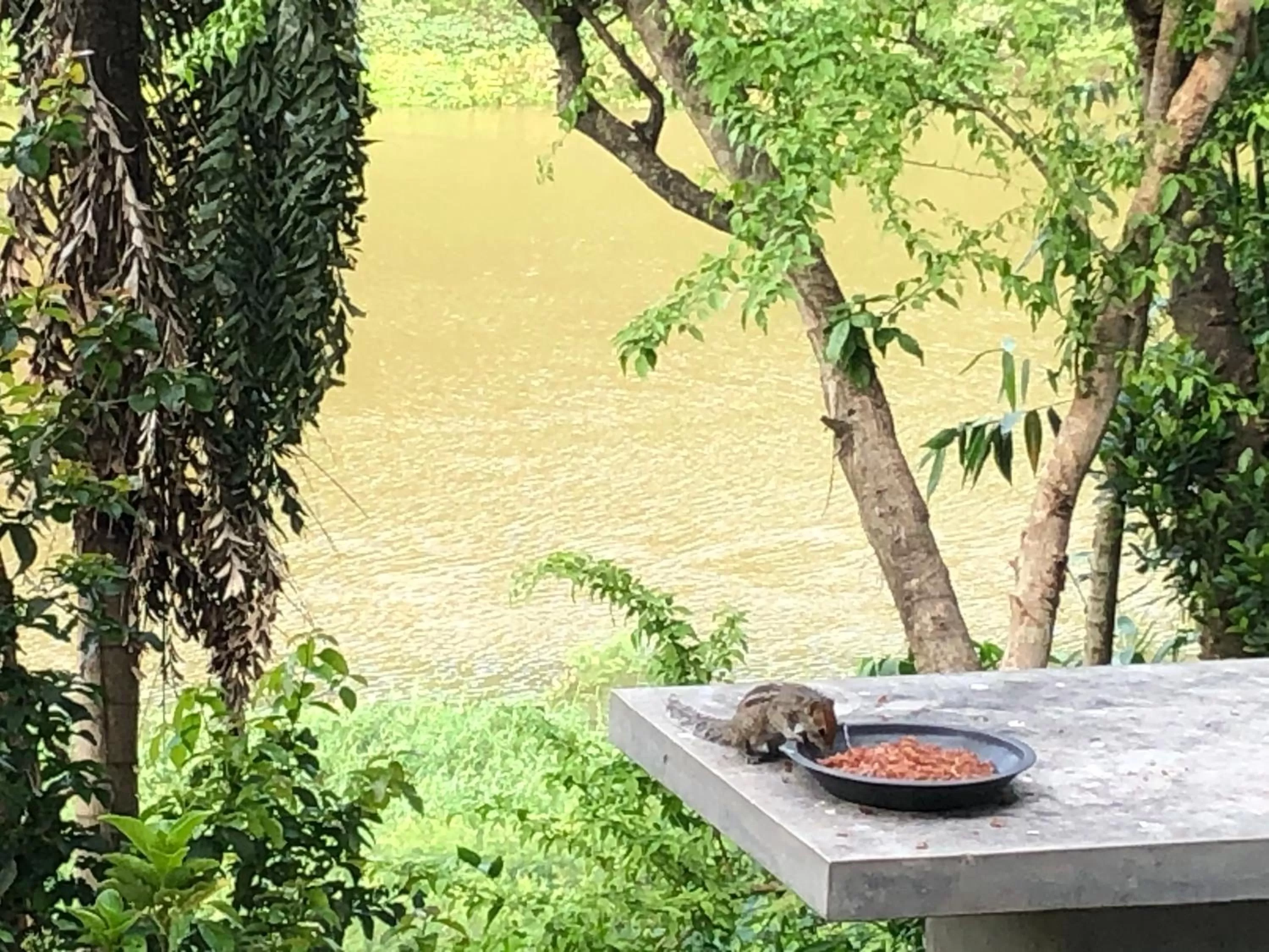 Kandy Rivers Edge Nature Resort