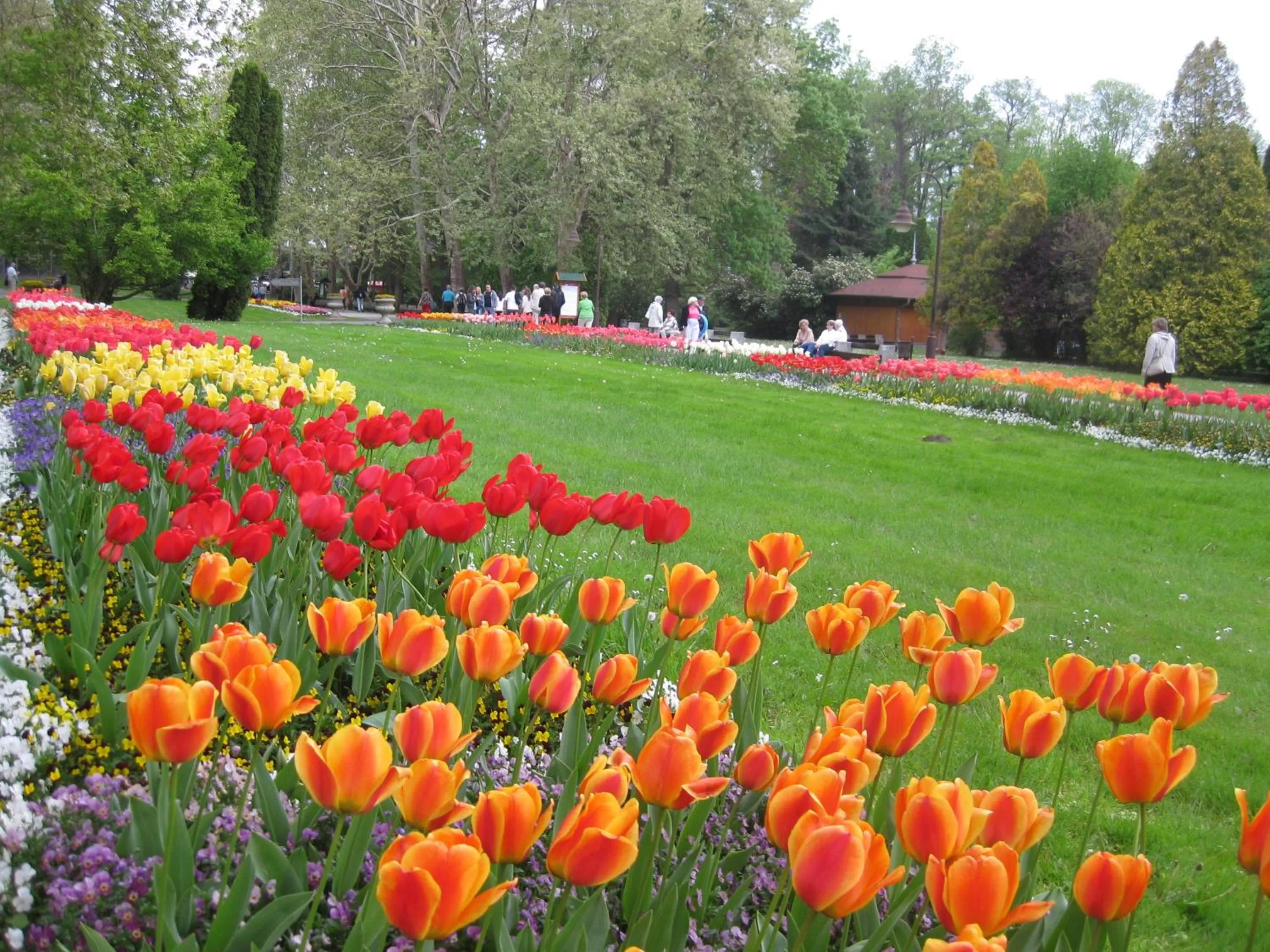 Natural landscape, Garden in SANTE Hévíz