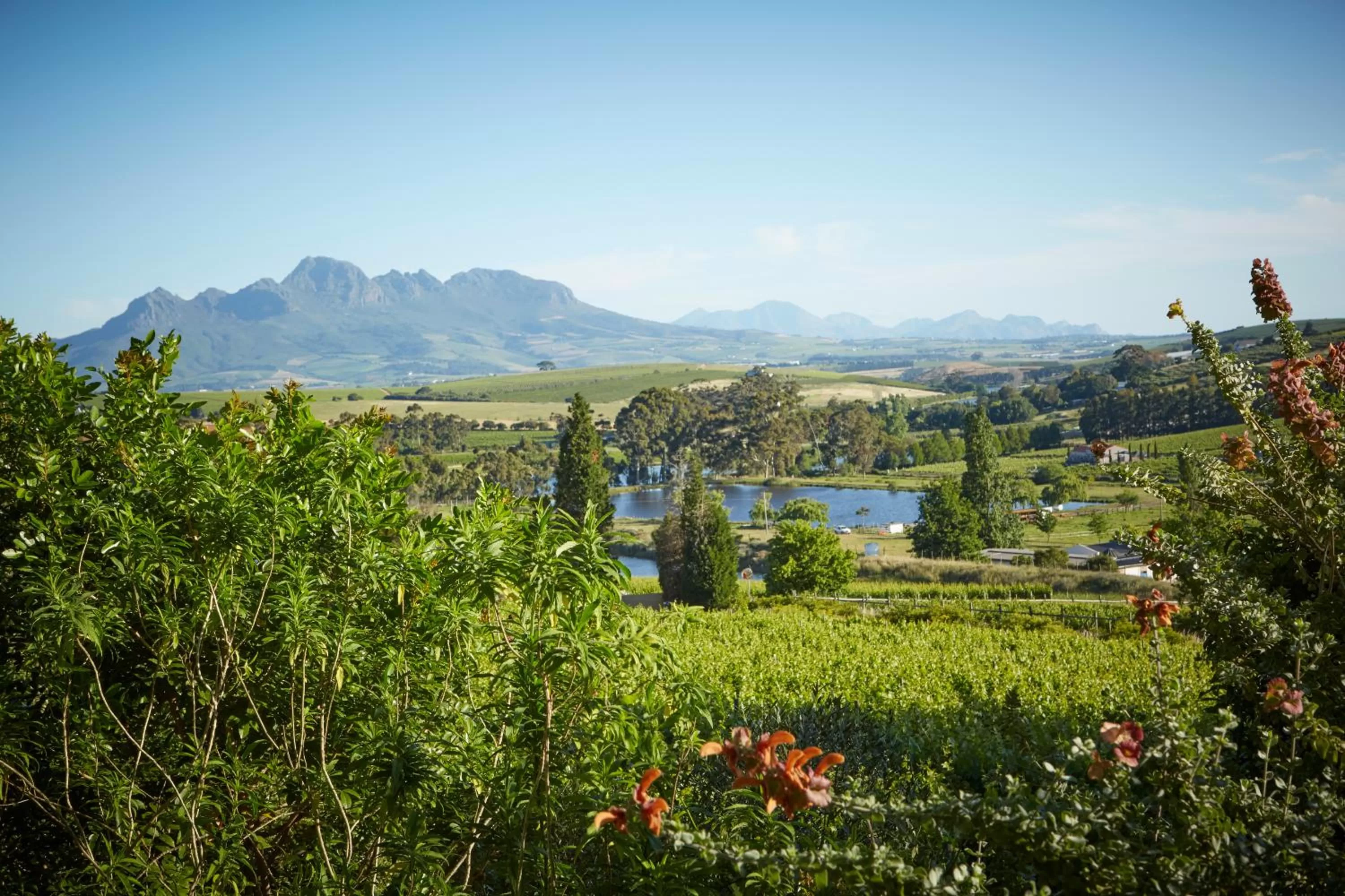 Natural landscape in The Devon Valley Hotel