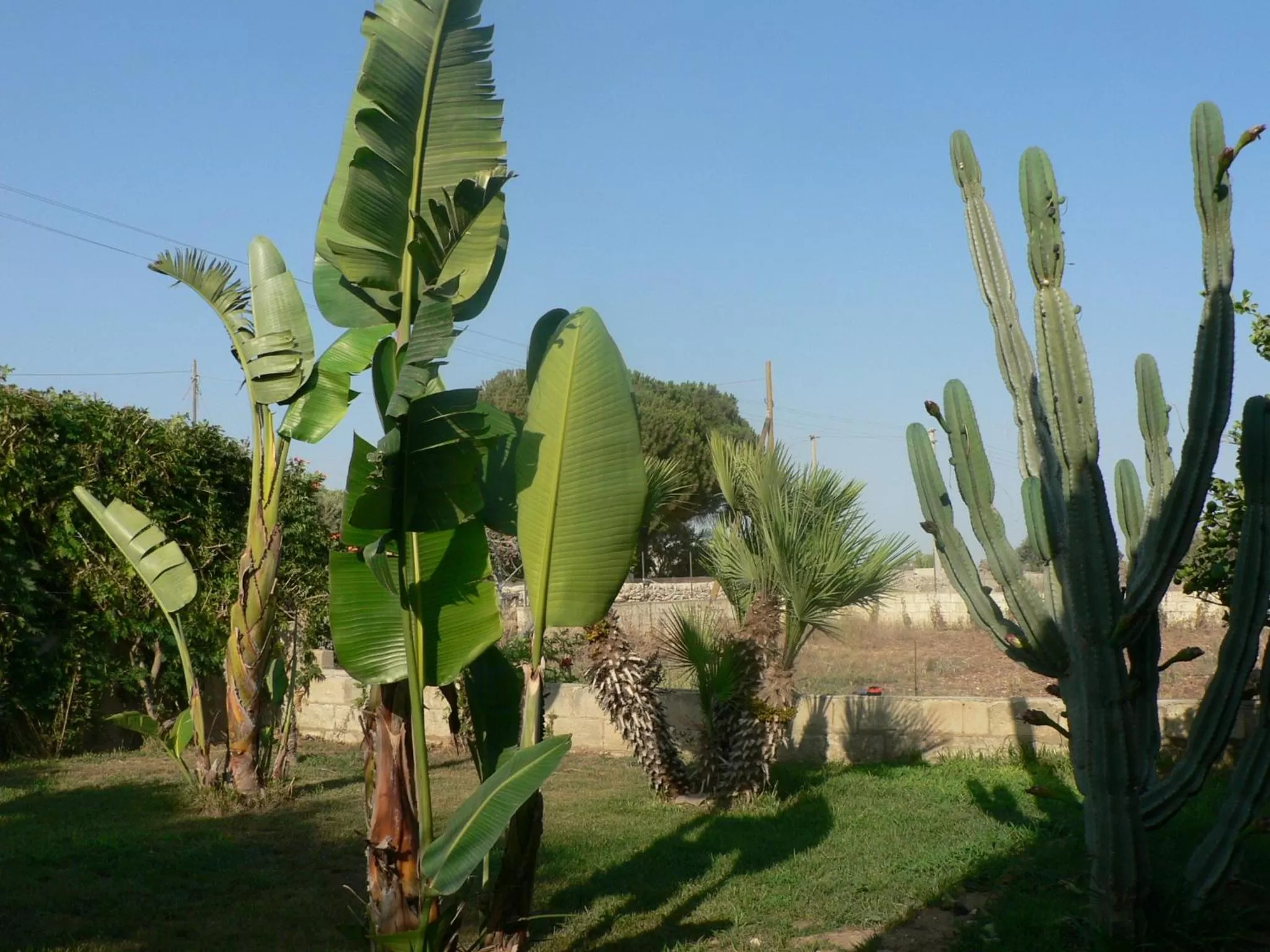 Day in B&B Villa Francesco