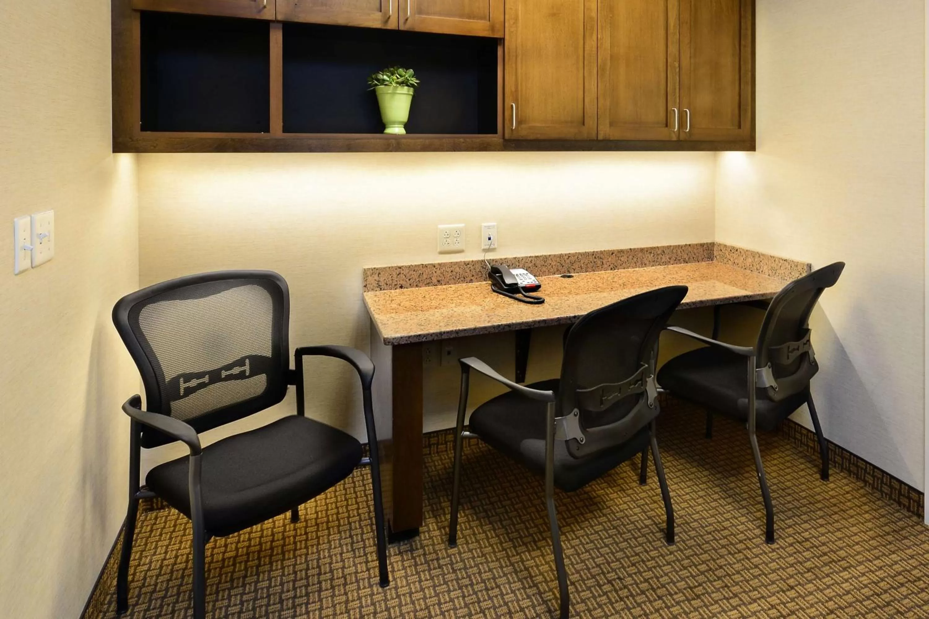 Business facilities in Hilton Garden Inn Greensboro Airport