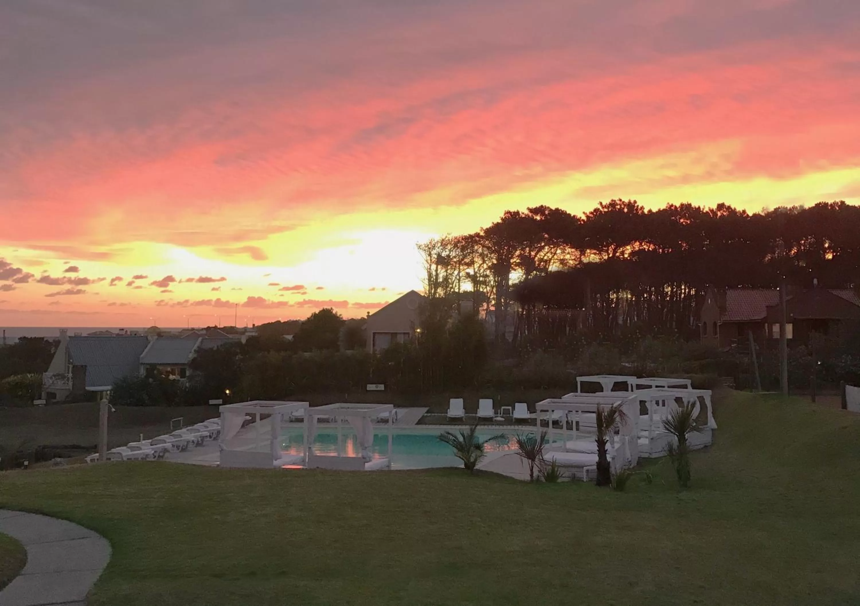 Natural landscape in Hotel Las Olas Resort