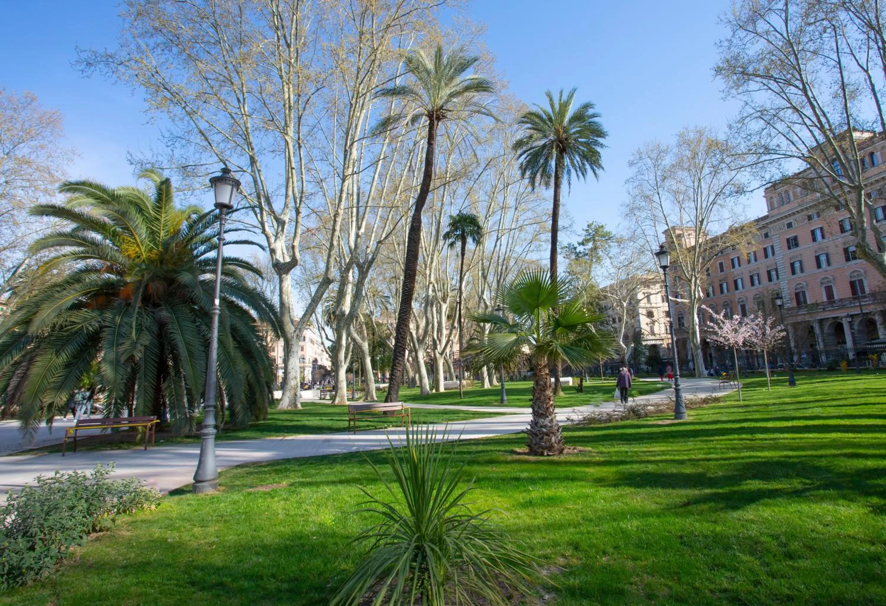Garden in Hotel Napoleon