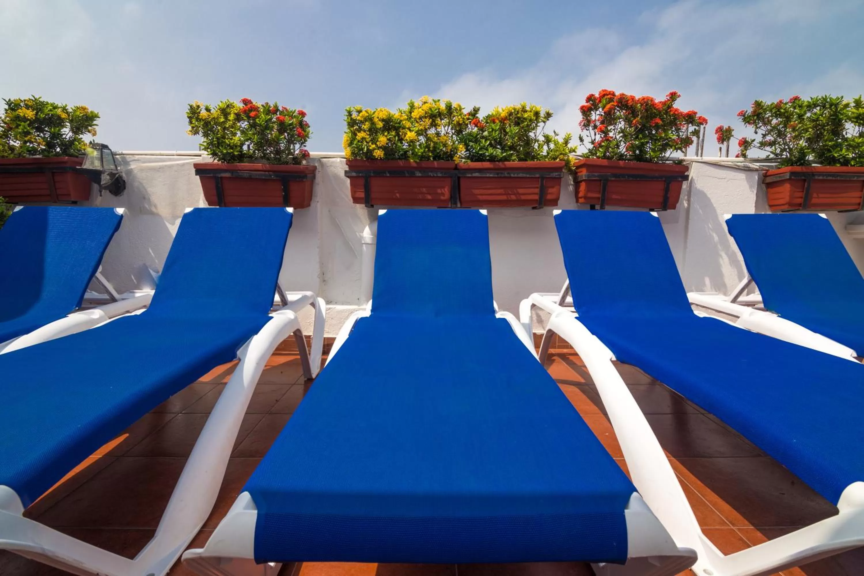 Balcony/Terrace in Hotel 3 Banderas