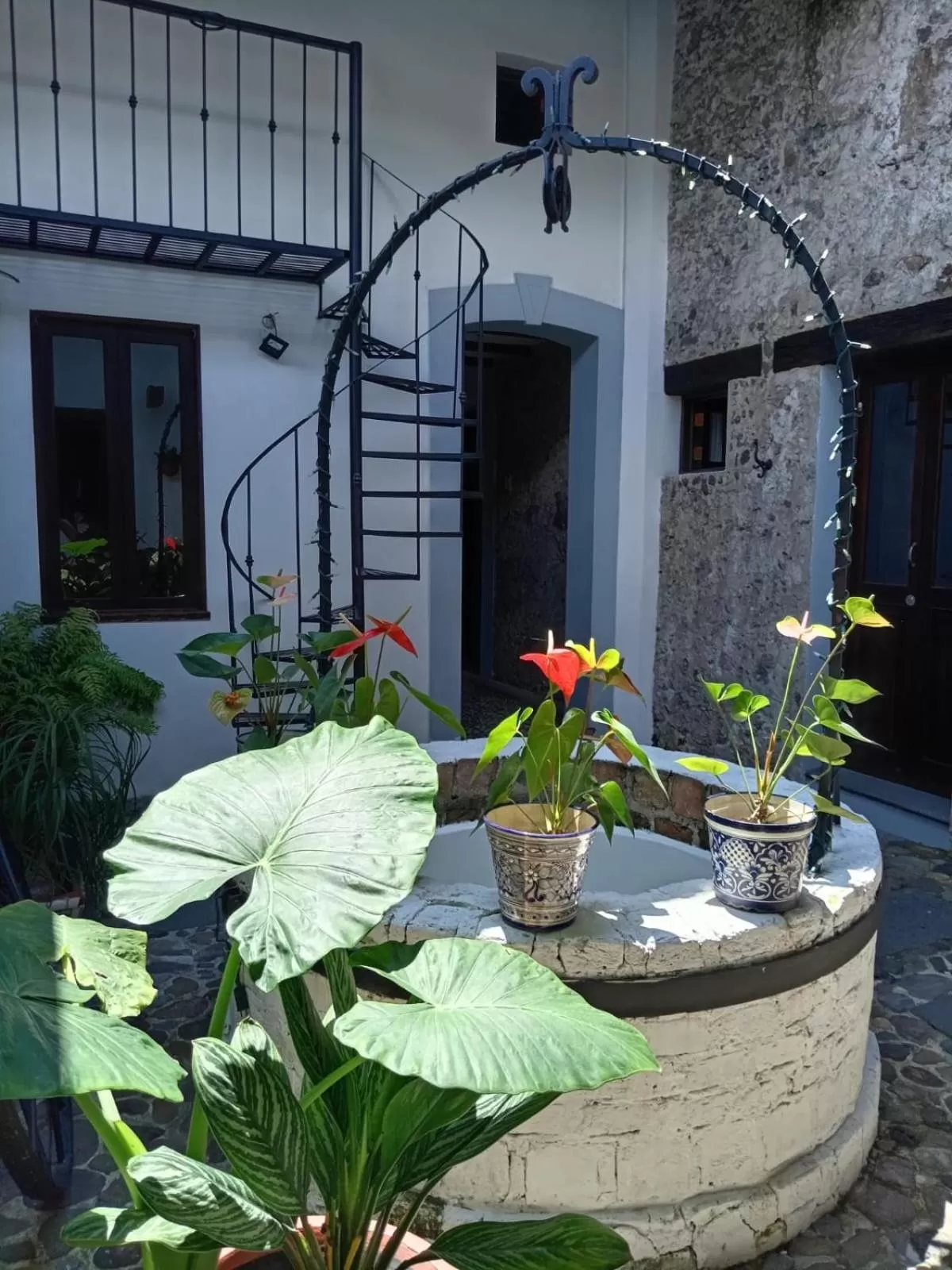 Patio in Hotel Boutique Casabella