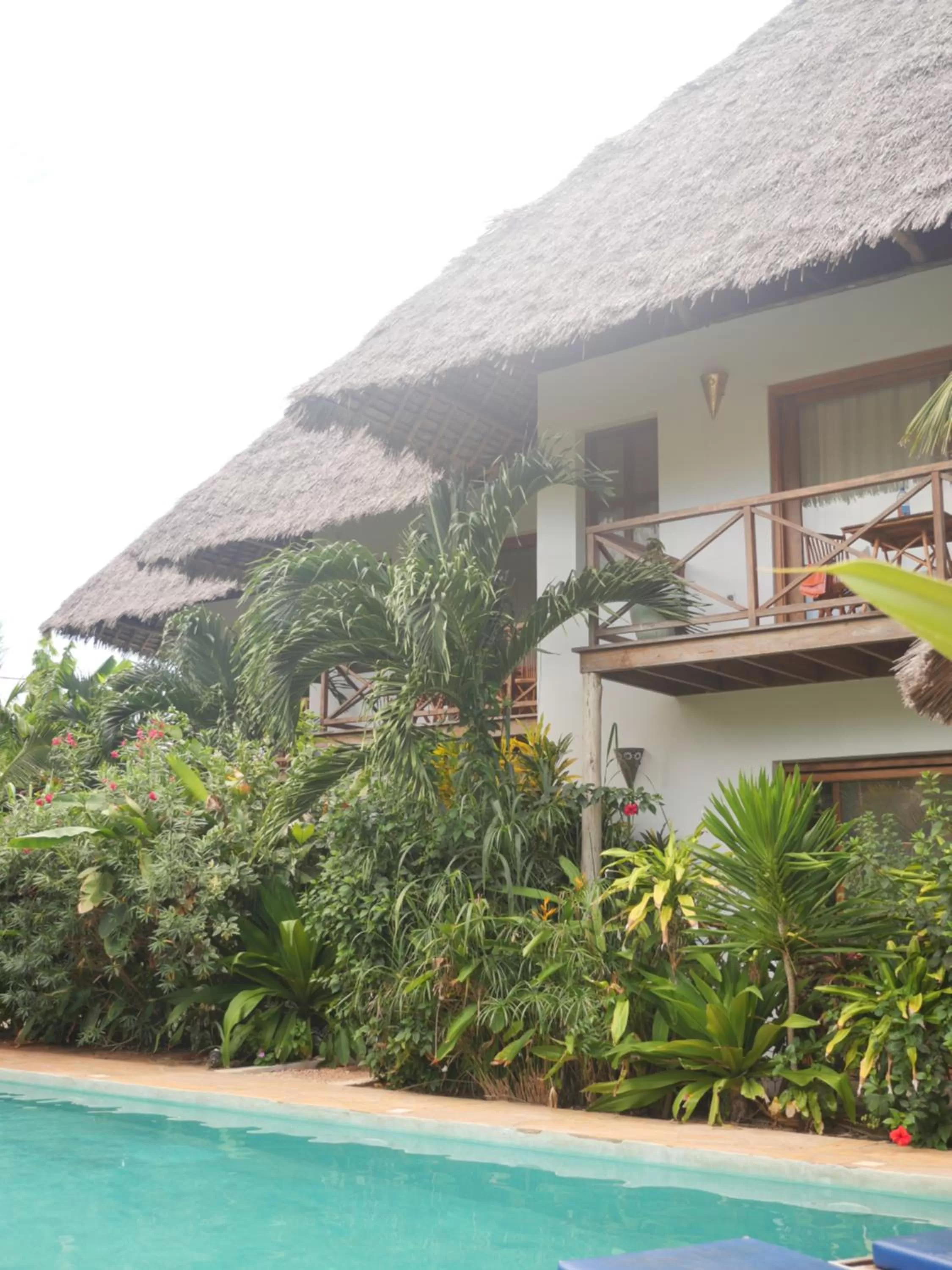 Garden, Swimming Pool in Aluna Nungwi