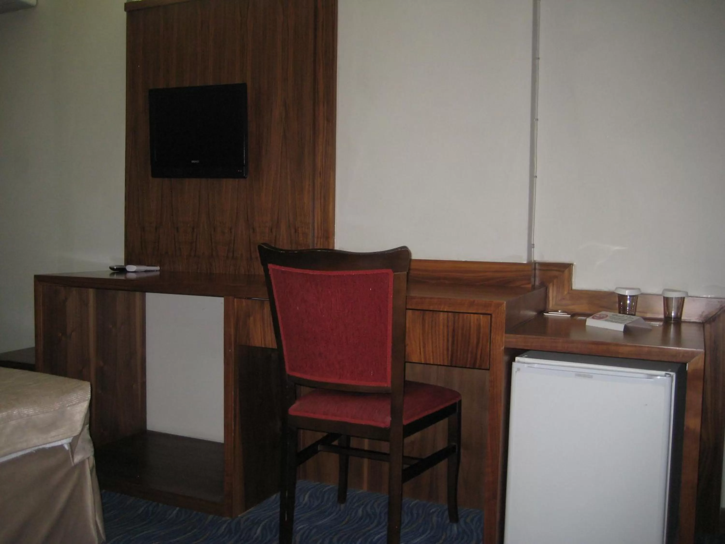 TV and multimedia in Miroglu Hotel
