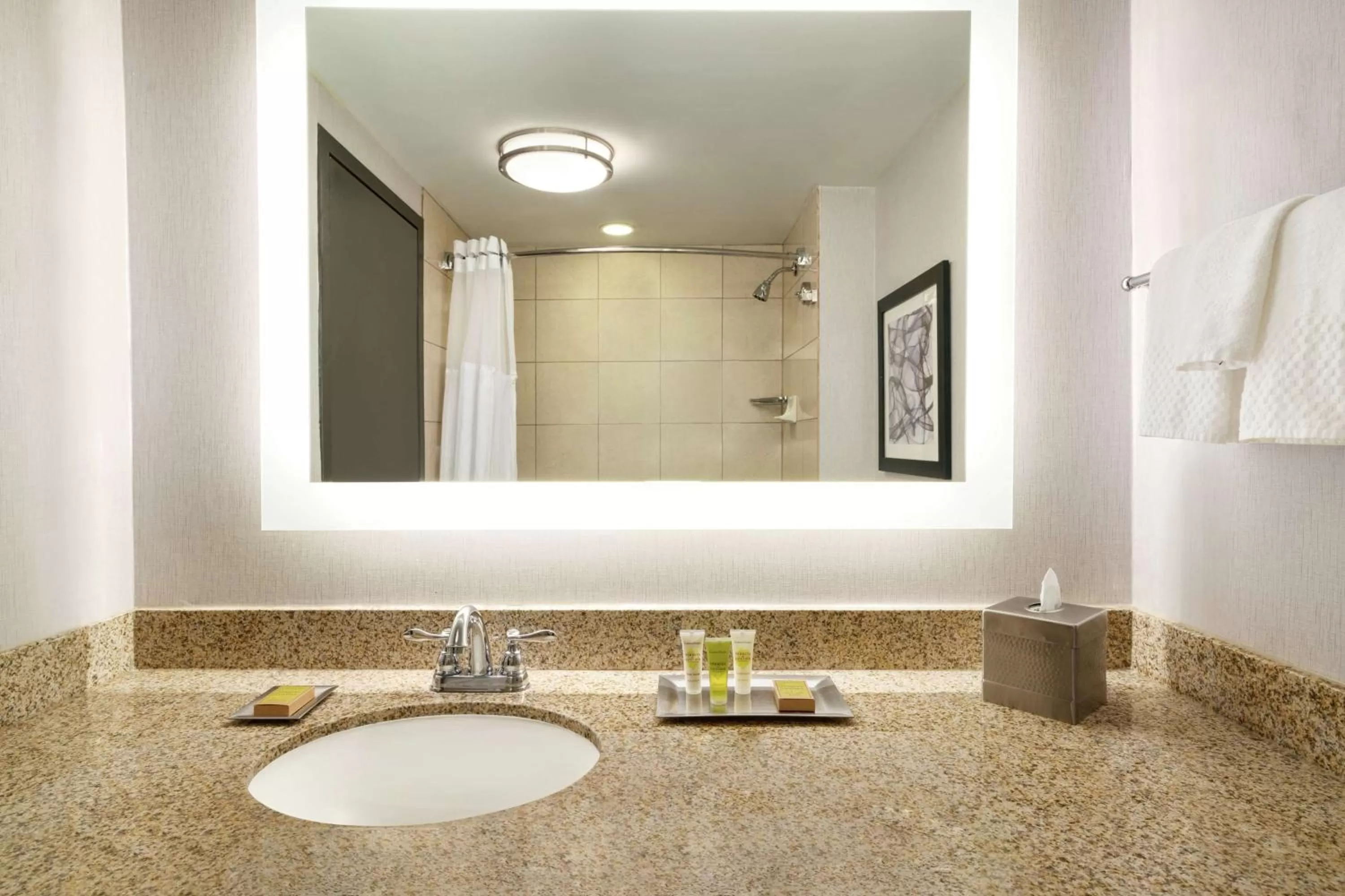 Bathroom in Hilton Melbourne, FL