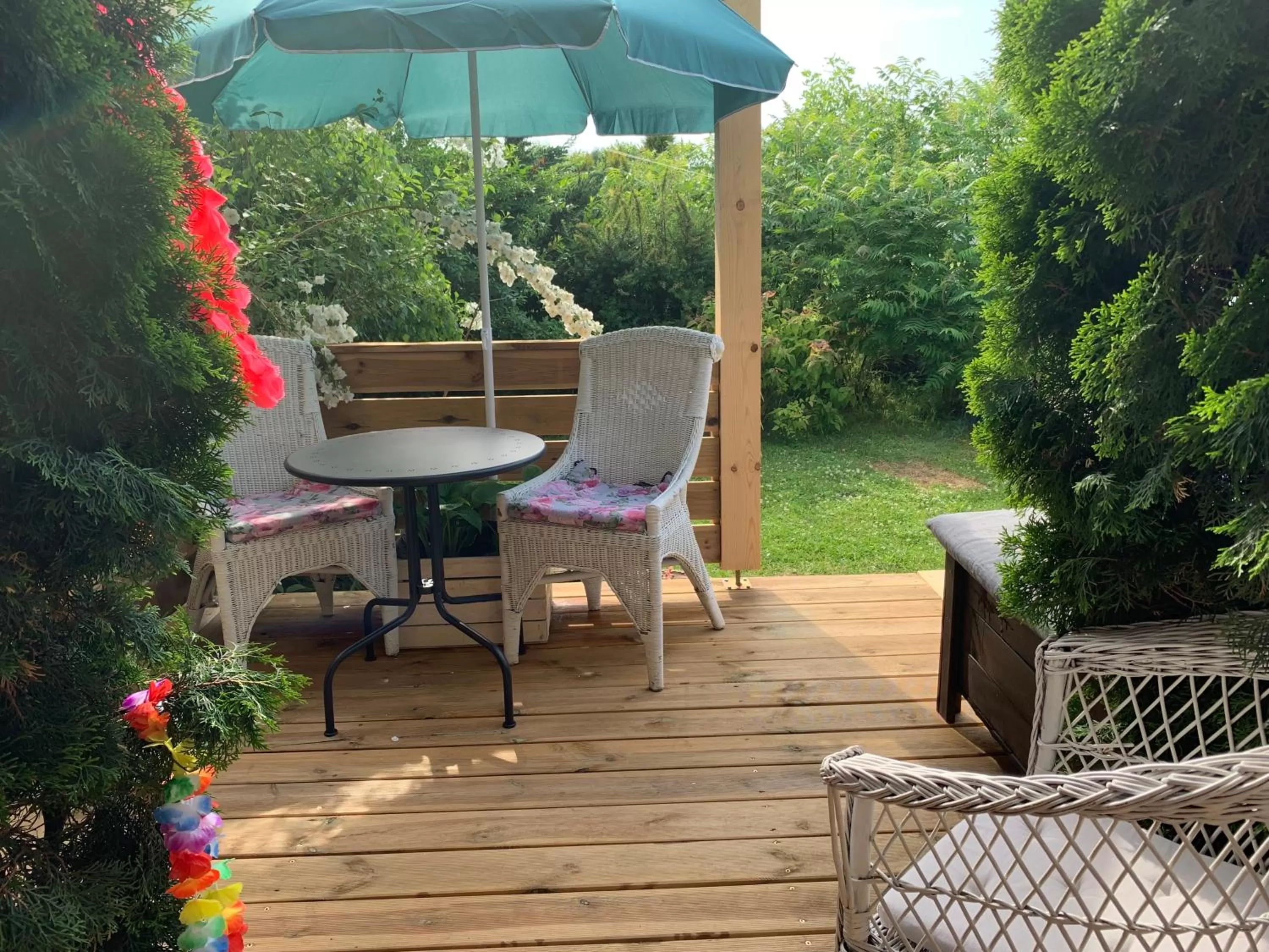 Patio, Patio/Outdoor Area in Pokoje Gościnne Magnolia Rooms