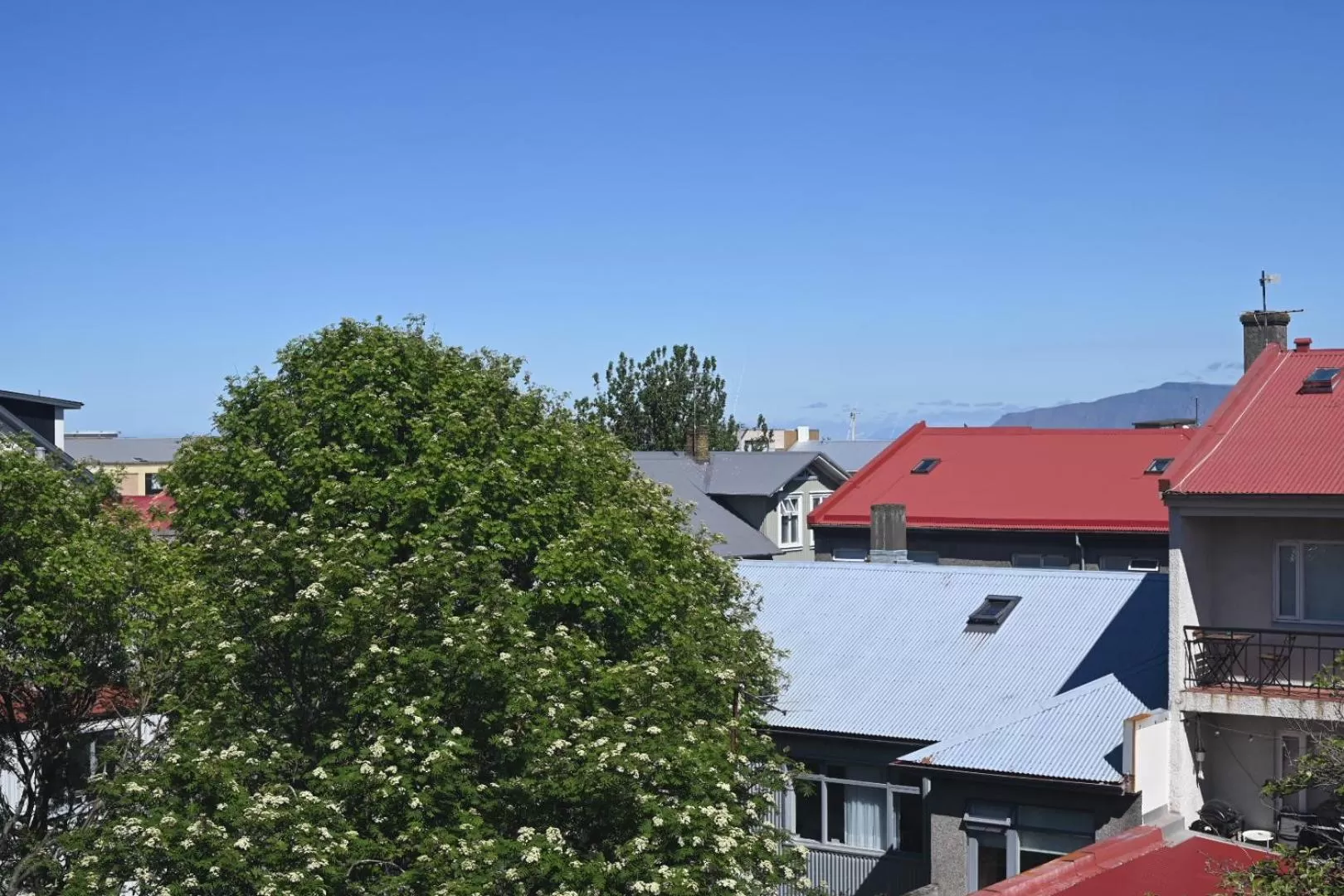 Neighbourhood in Hotel Local 101