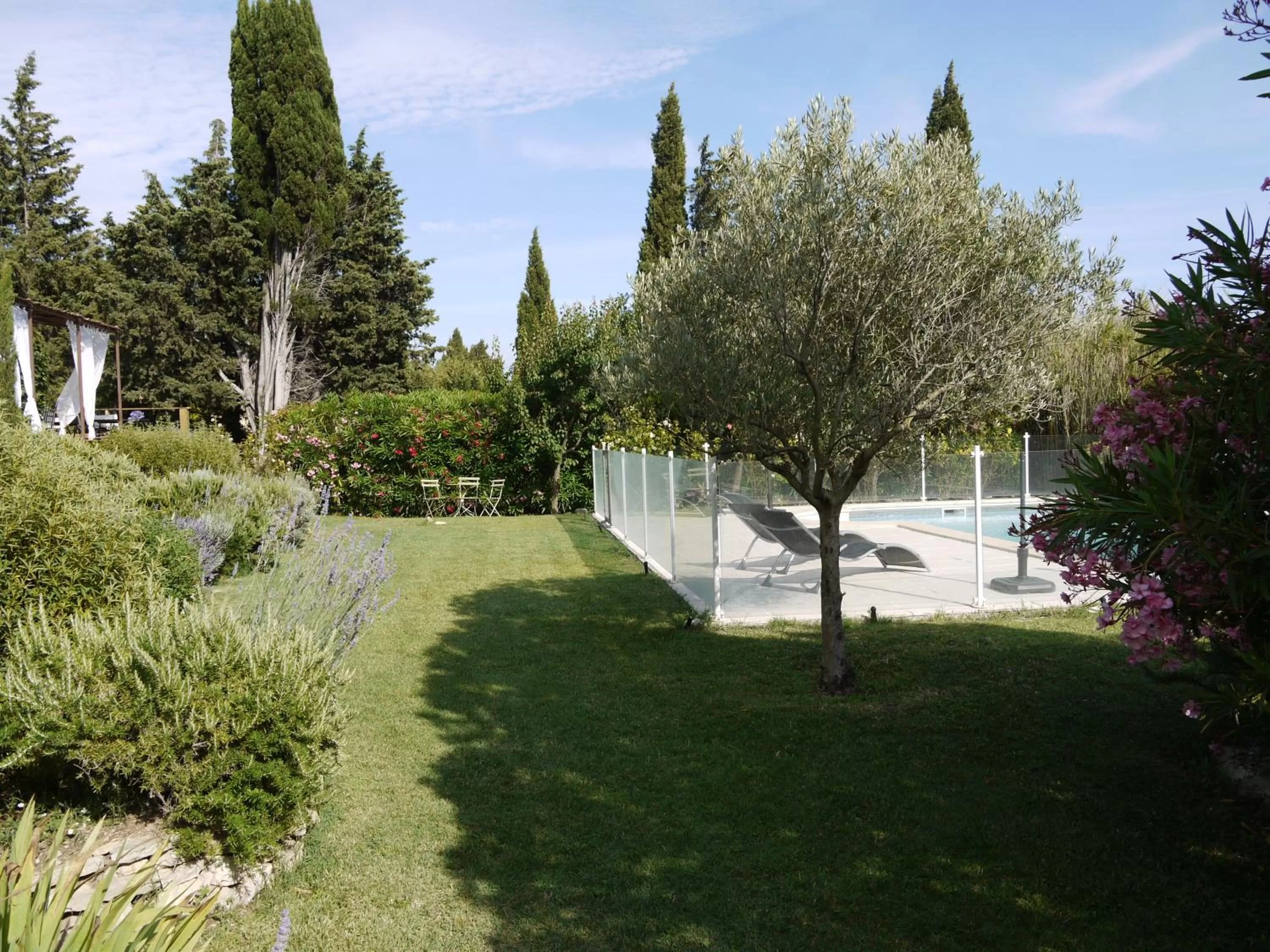 Day, Garden in Mas des Marguerites