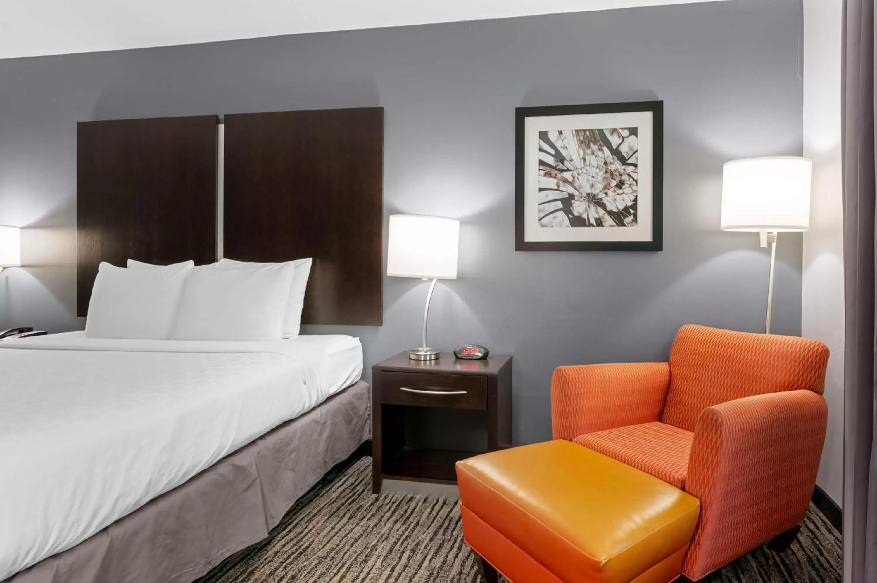 King Room with Roll-In Shower - Mobility Accessible/Non-Smoking in Best Western University Inn at Valparaiso