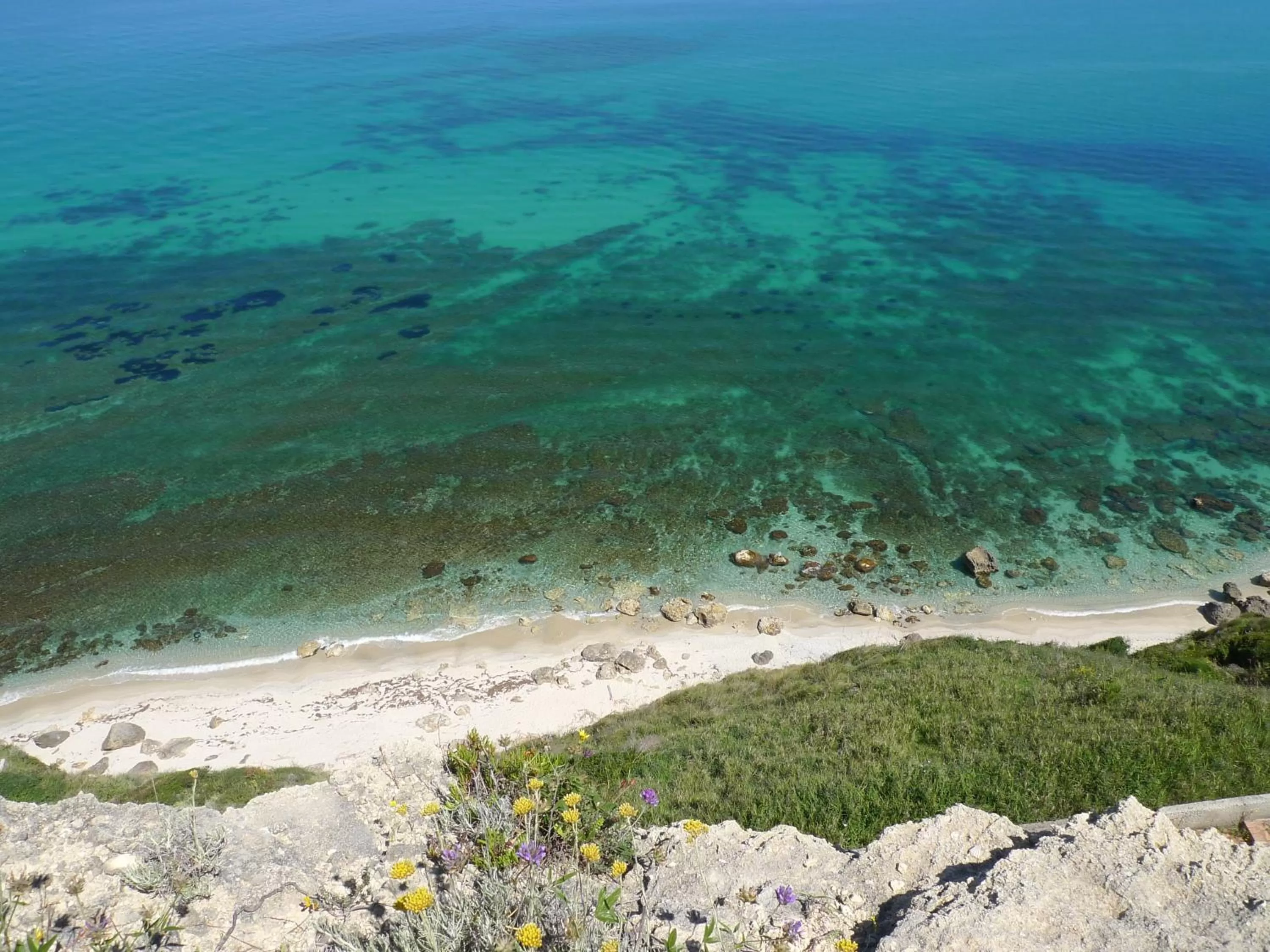 Area and facilities in Hotel Alexander