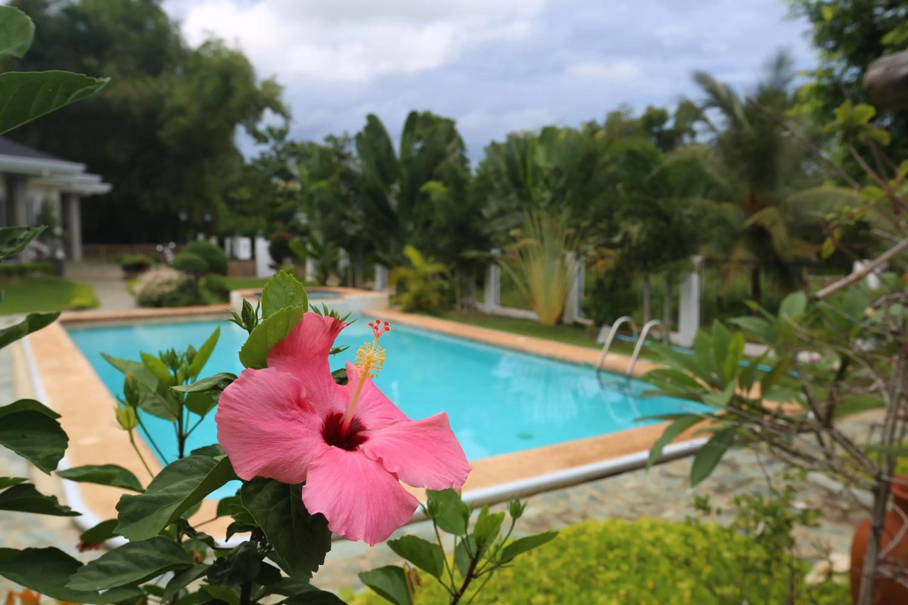 On site in Garden Bungalows Resort