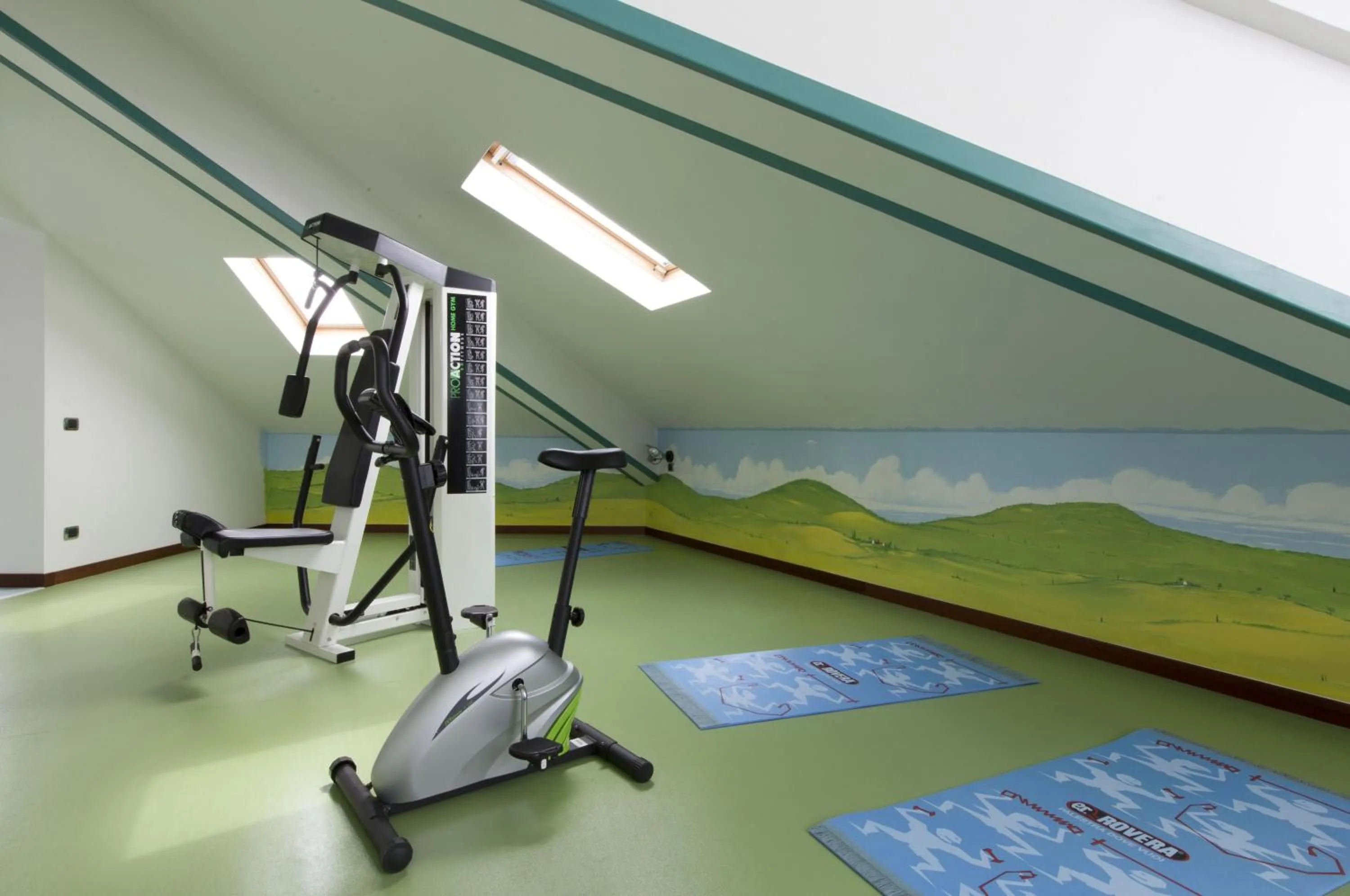 Fitness centre/facilities in Palace Hotel Moderno