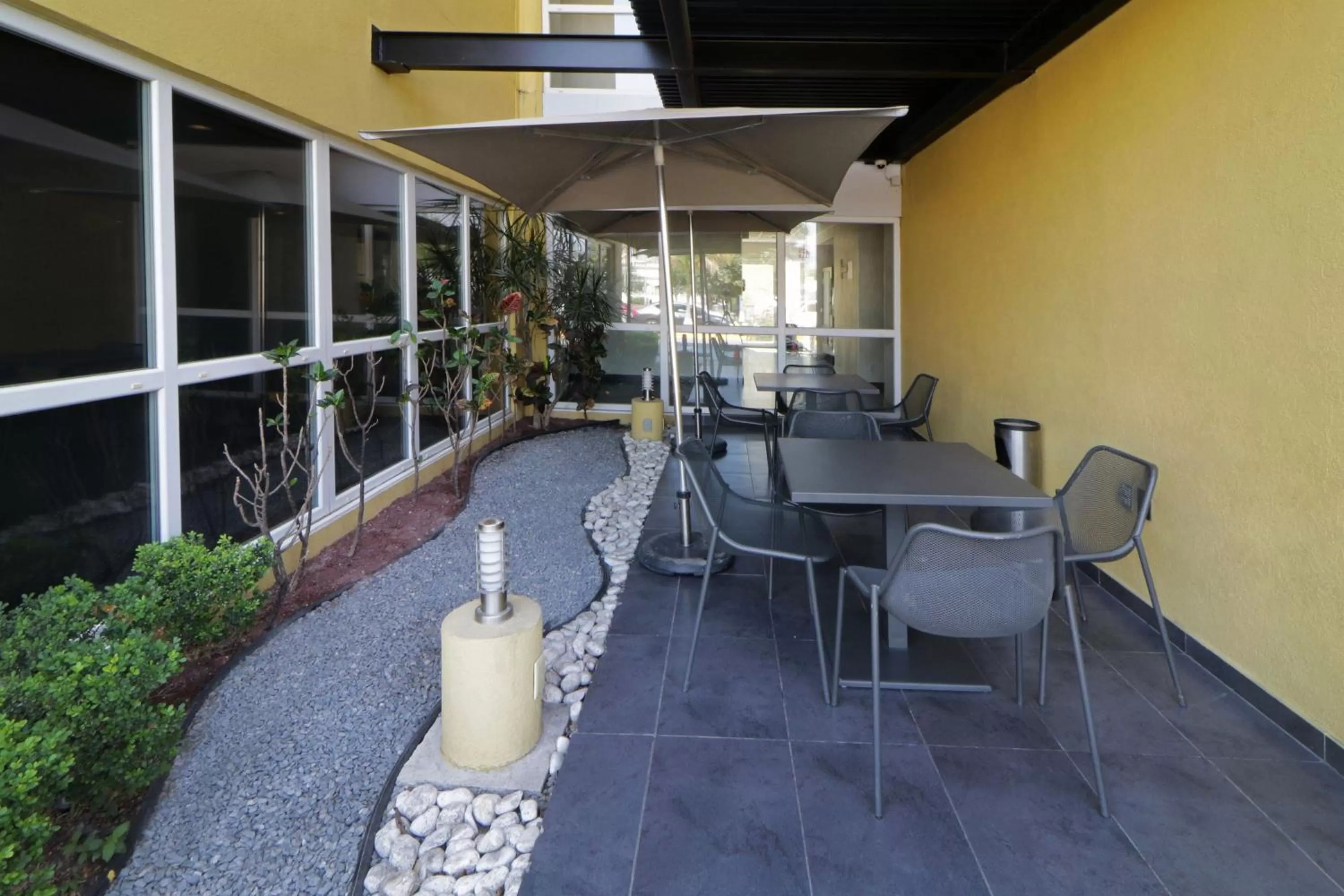 View (from property/room) in City Express by Marriott Ciudad Victoria