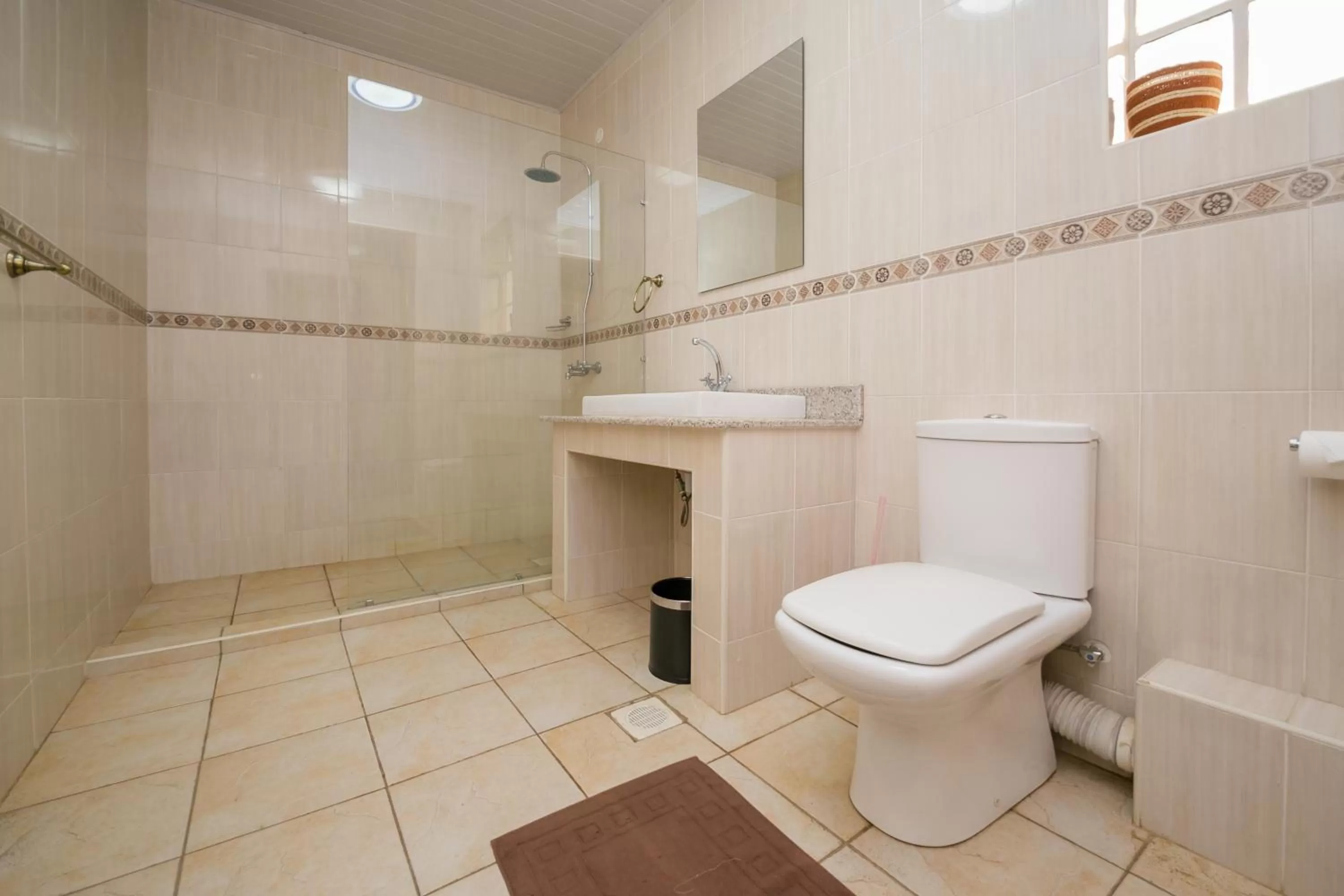 Shower in Hotel Rudi