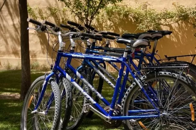 Cycling in El Gualicho Hostel