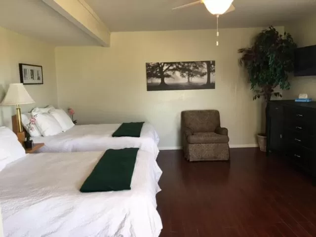 Photo of the whole room, Bed in Olancha RV Park and Motel