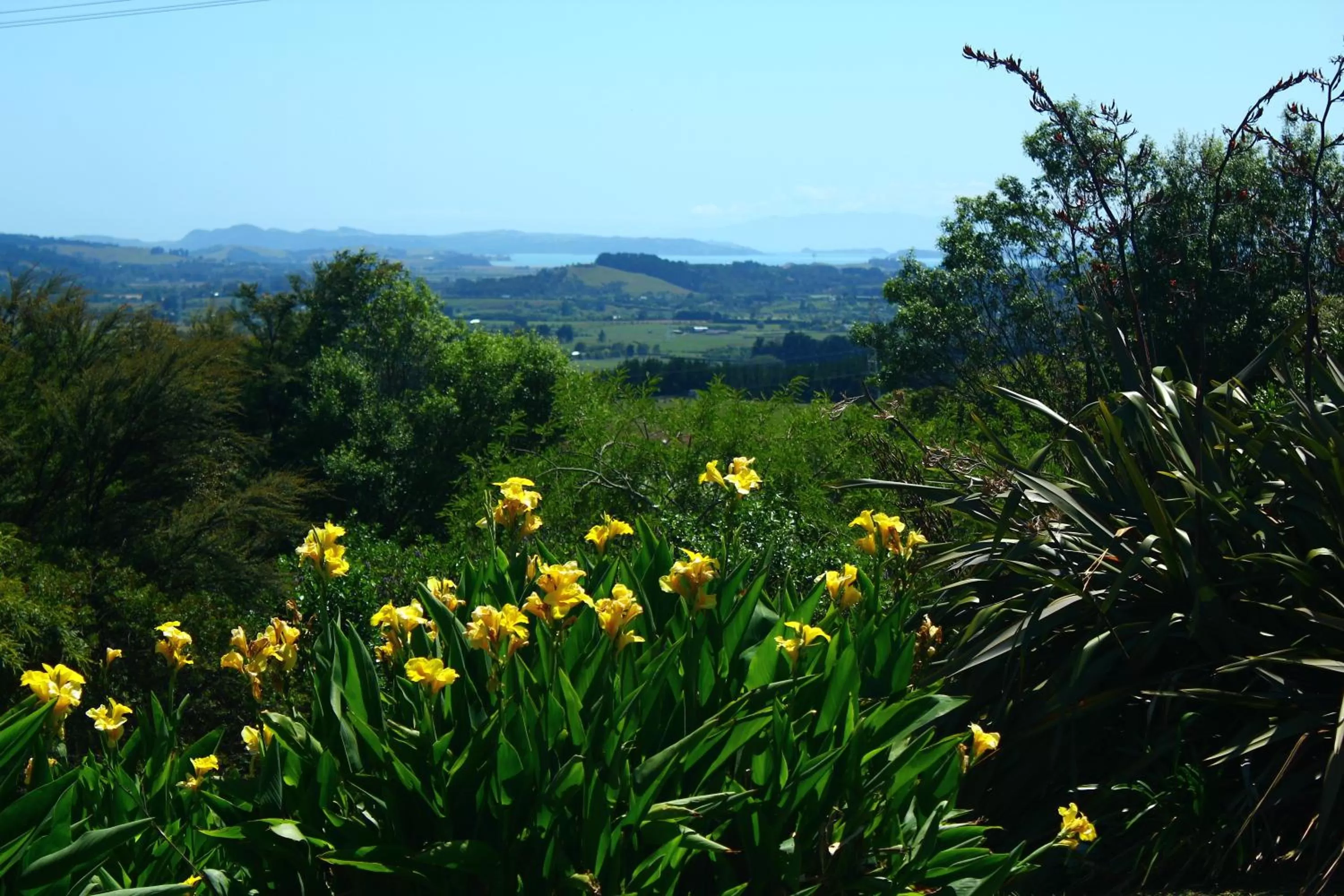 View (from property/room) in Auckland Country Cottages