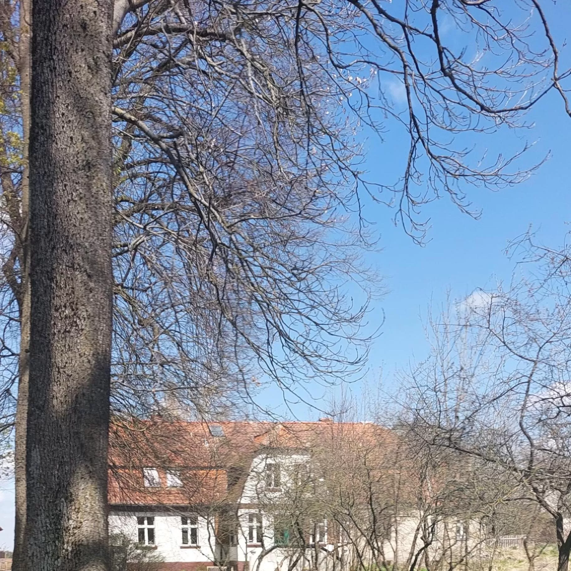 Property building in Dom na Mazurach Pilec