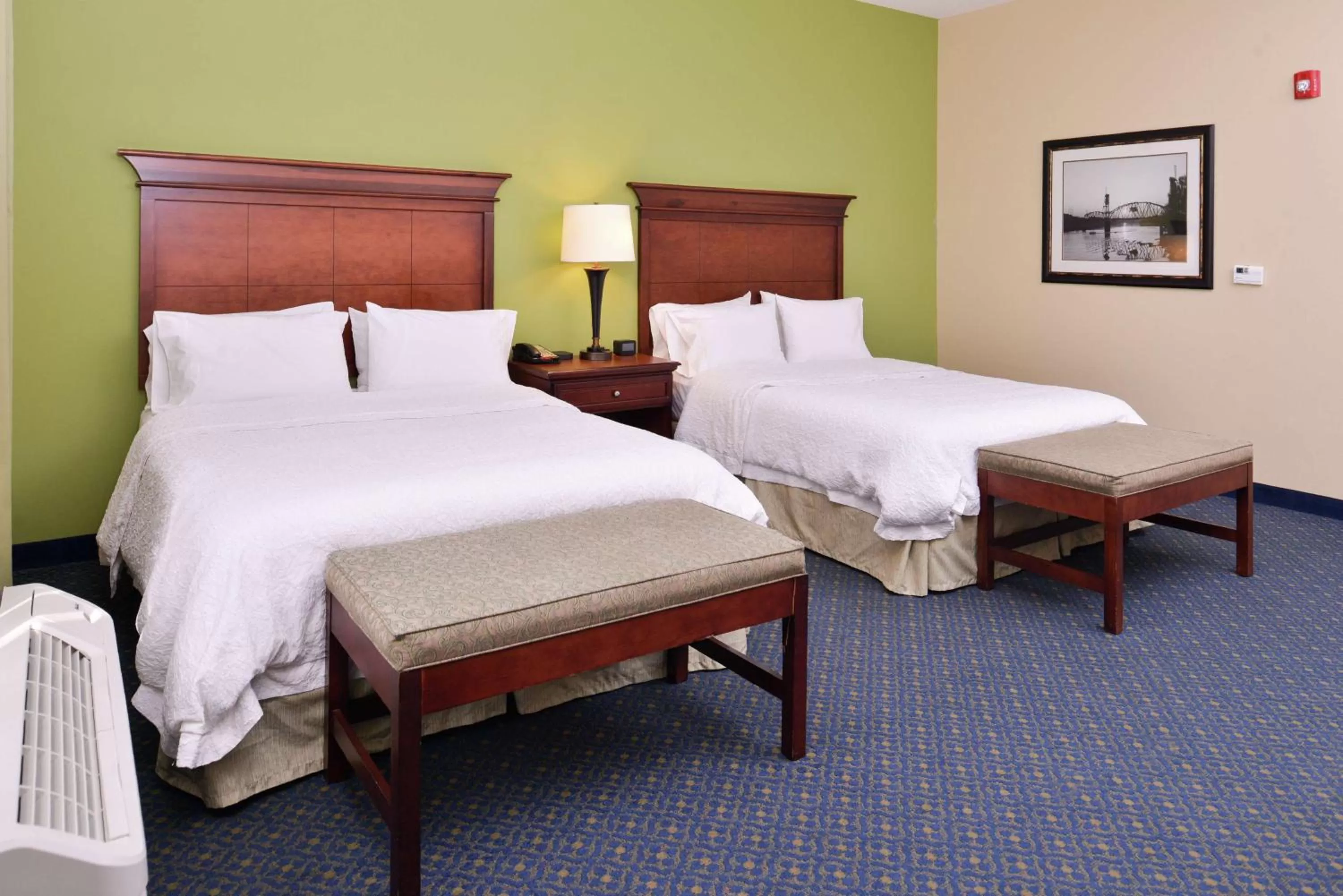Bed in Hampton Inn Jackson-College Avenue