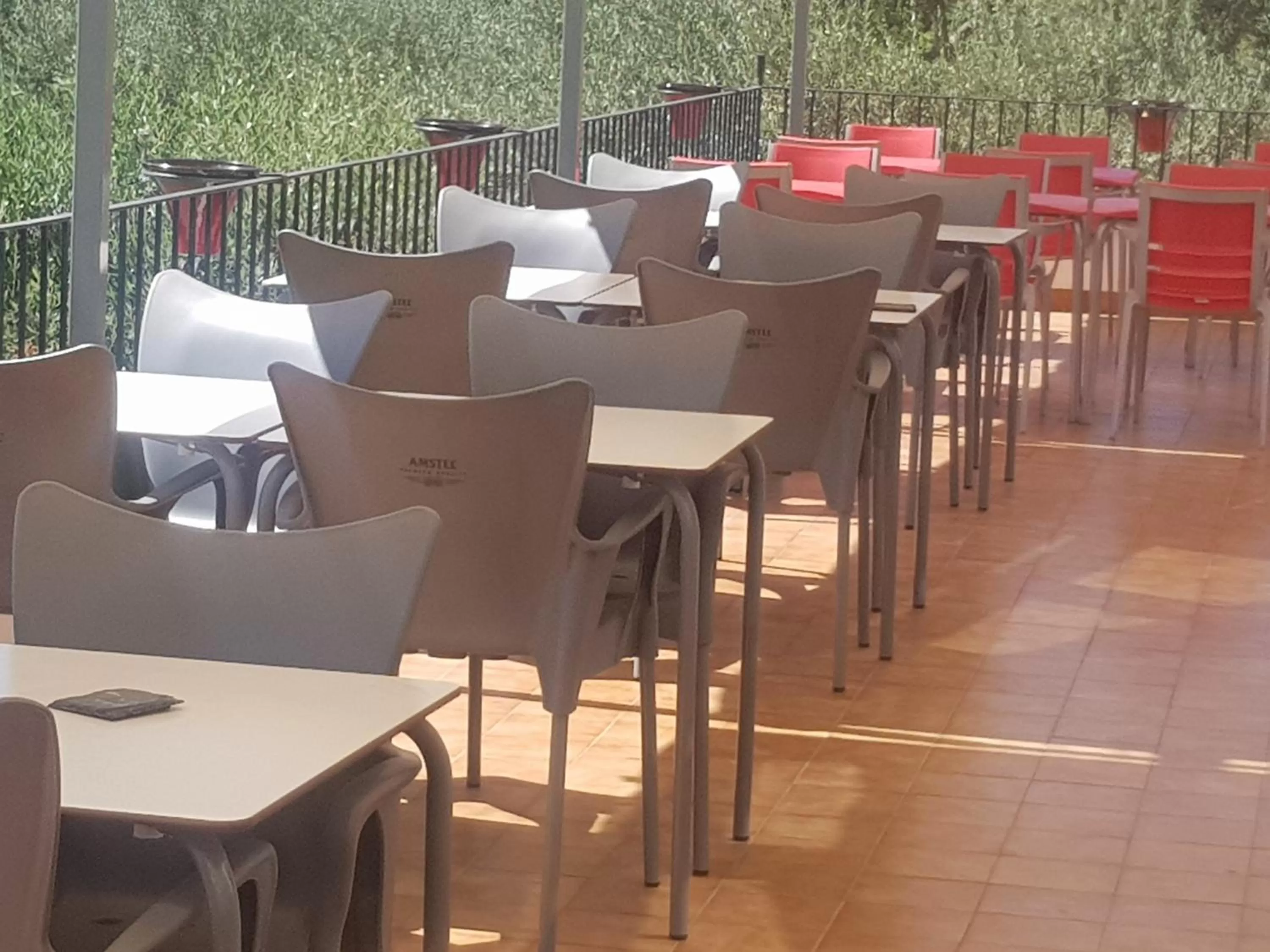 Restaurant/Places to Eat in Hostal Ondina