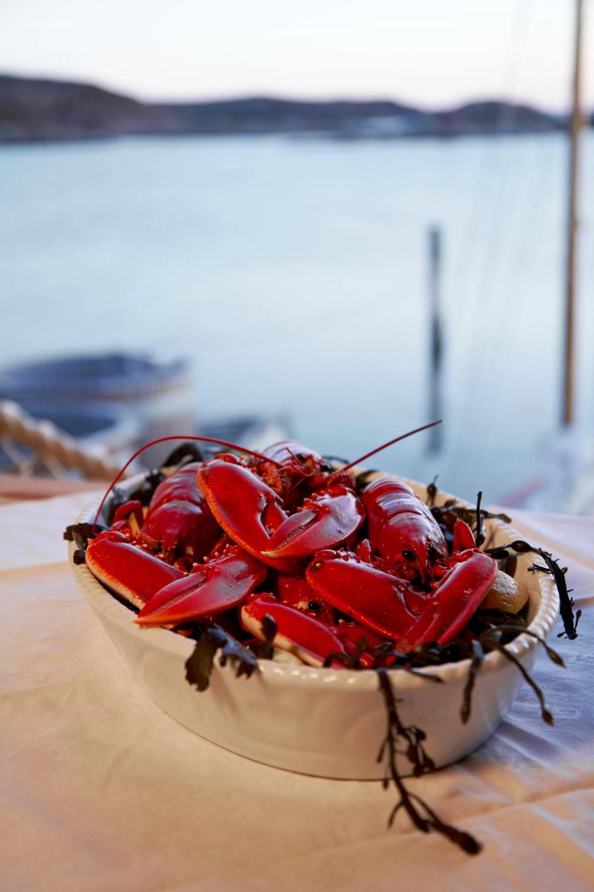 Food and drinks in Everts Sjöbods Bed & Breakfast