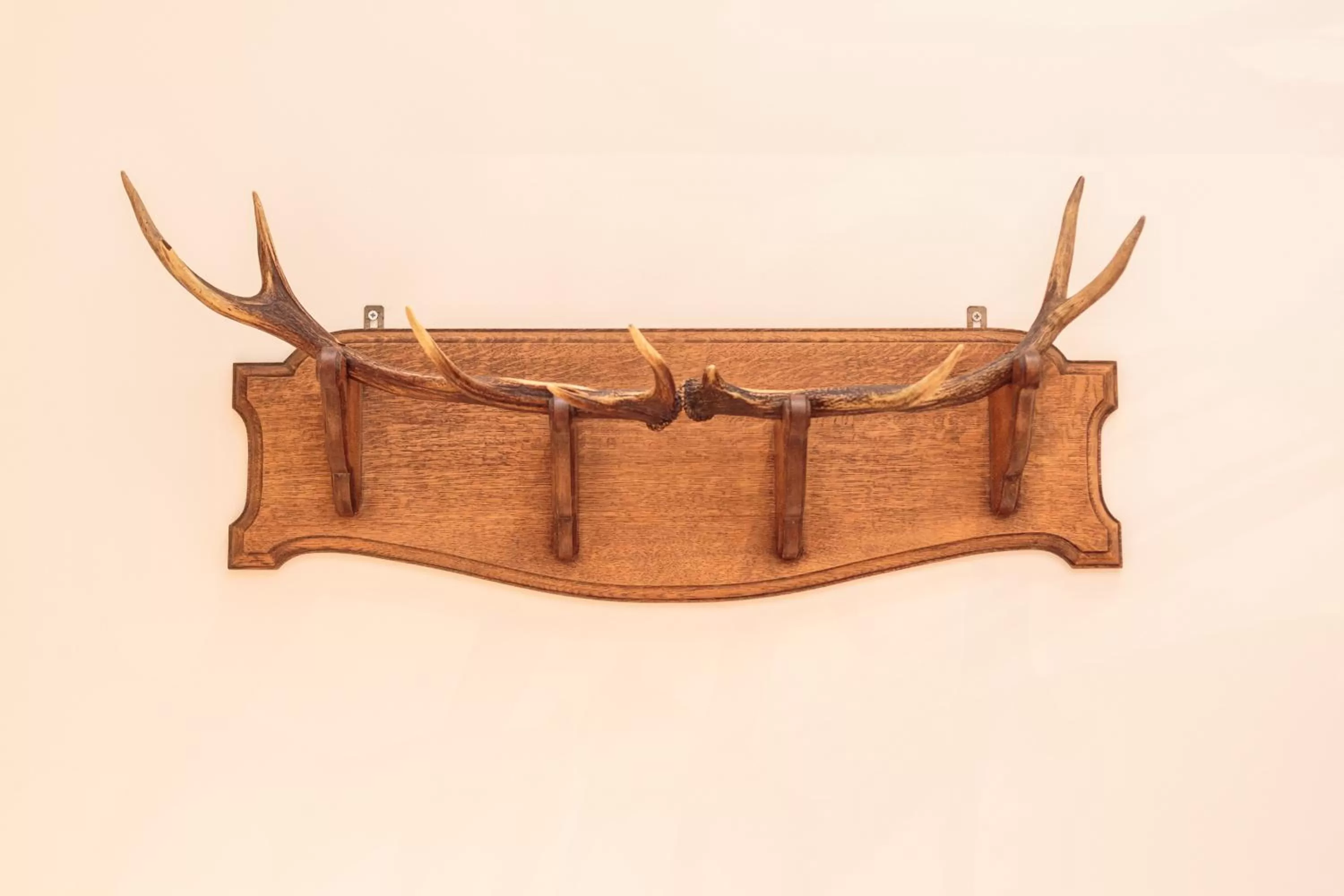 Decorative detail in Hotel Dwars