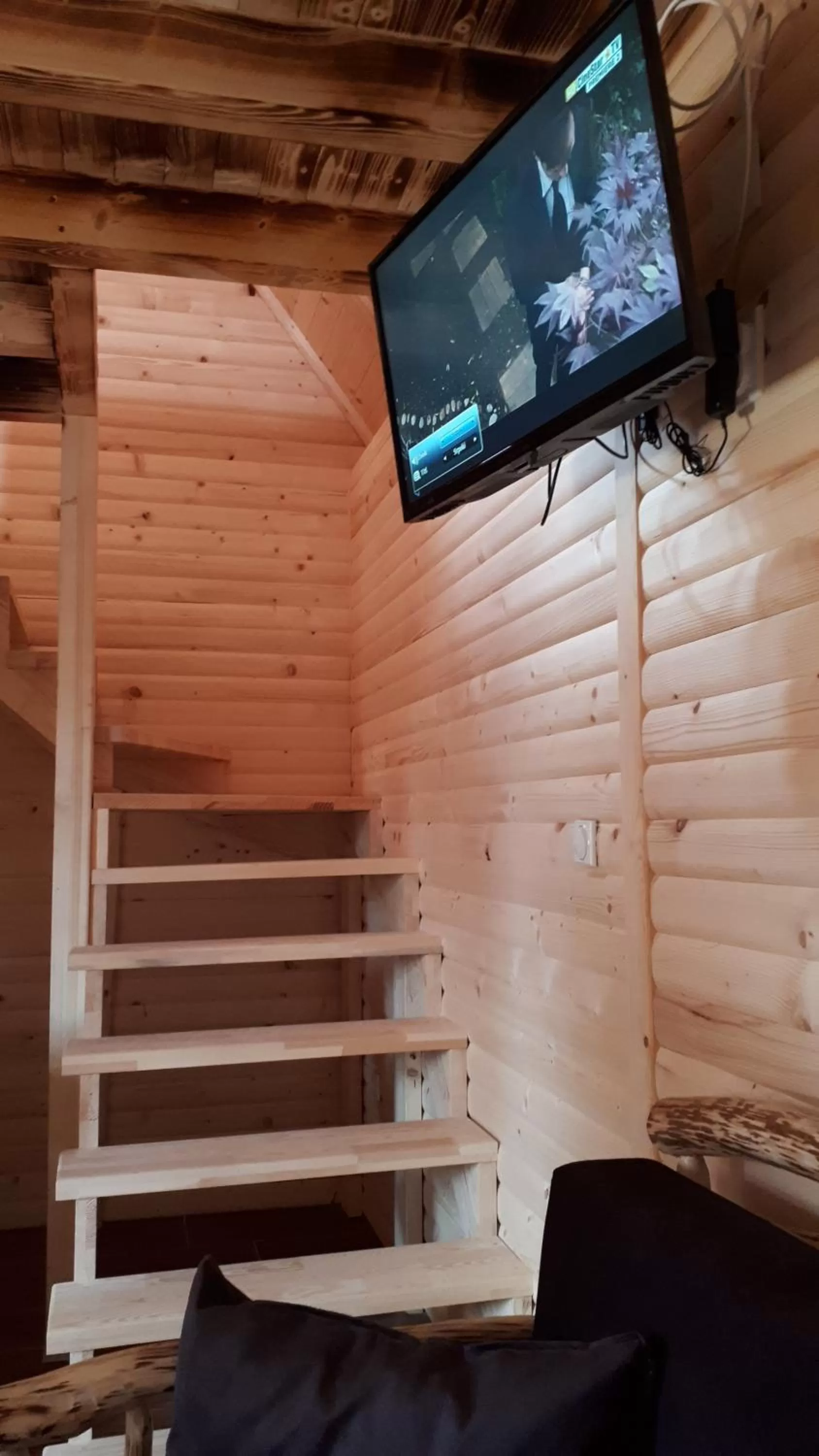 Living room, TV/Entertainment Center in Bed & Breakfast KUM