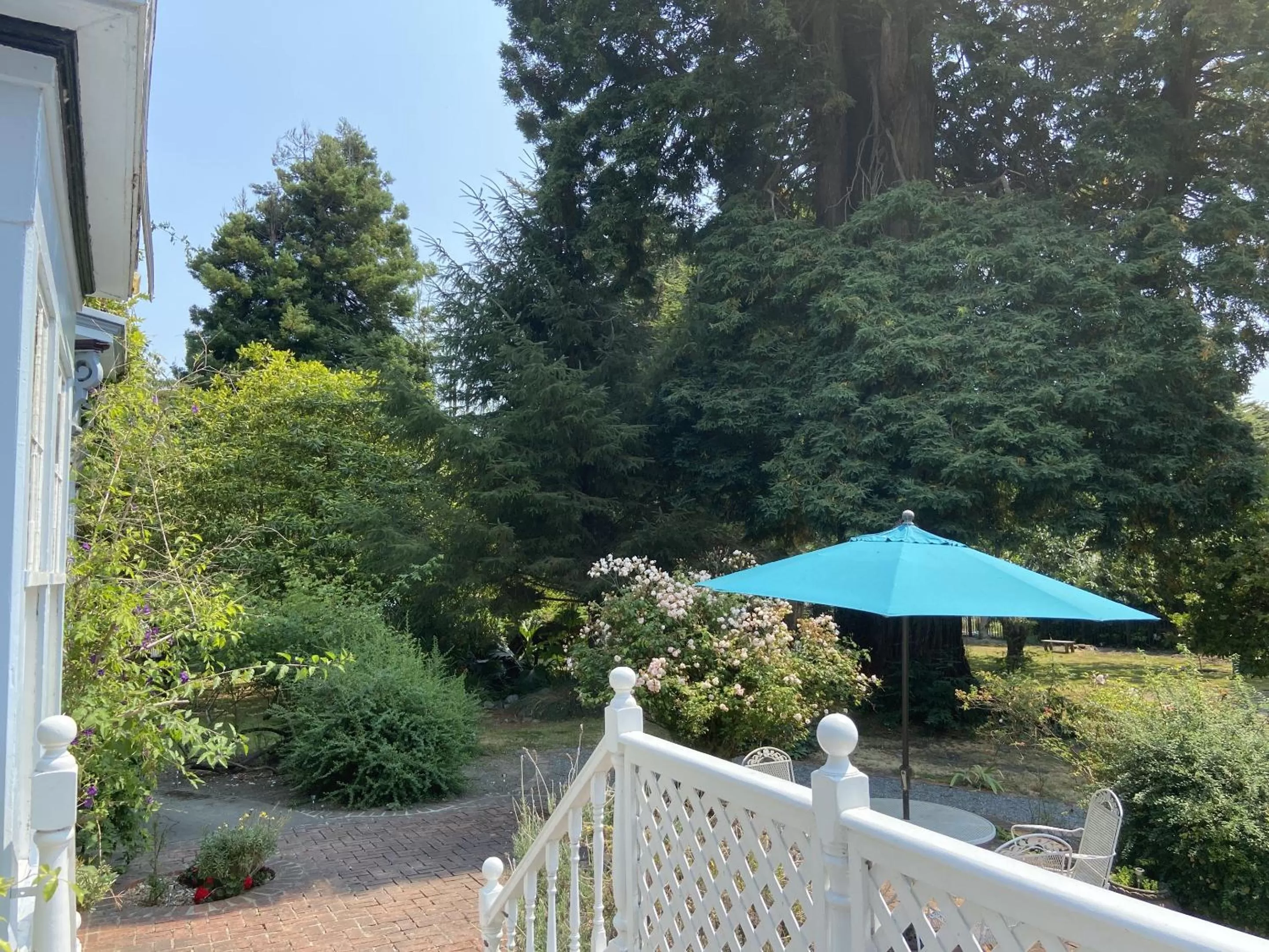 Garden in Shaw House Inn