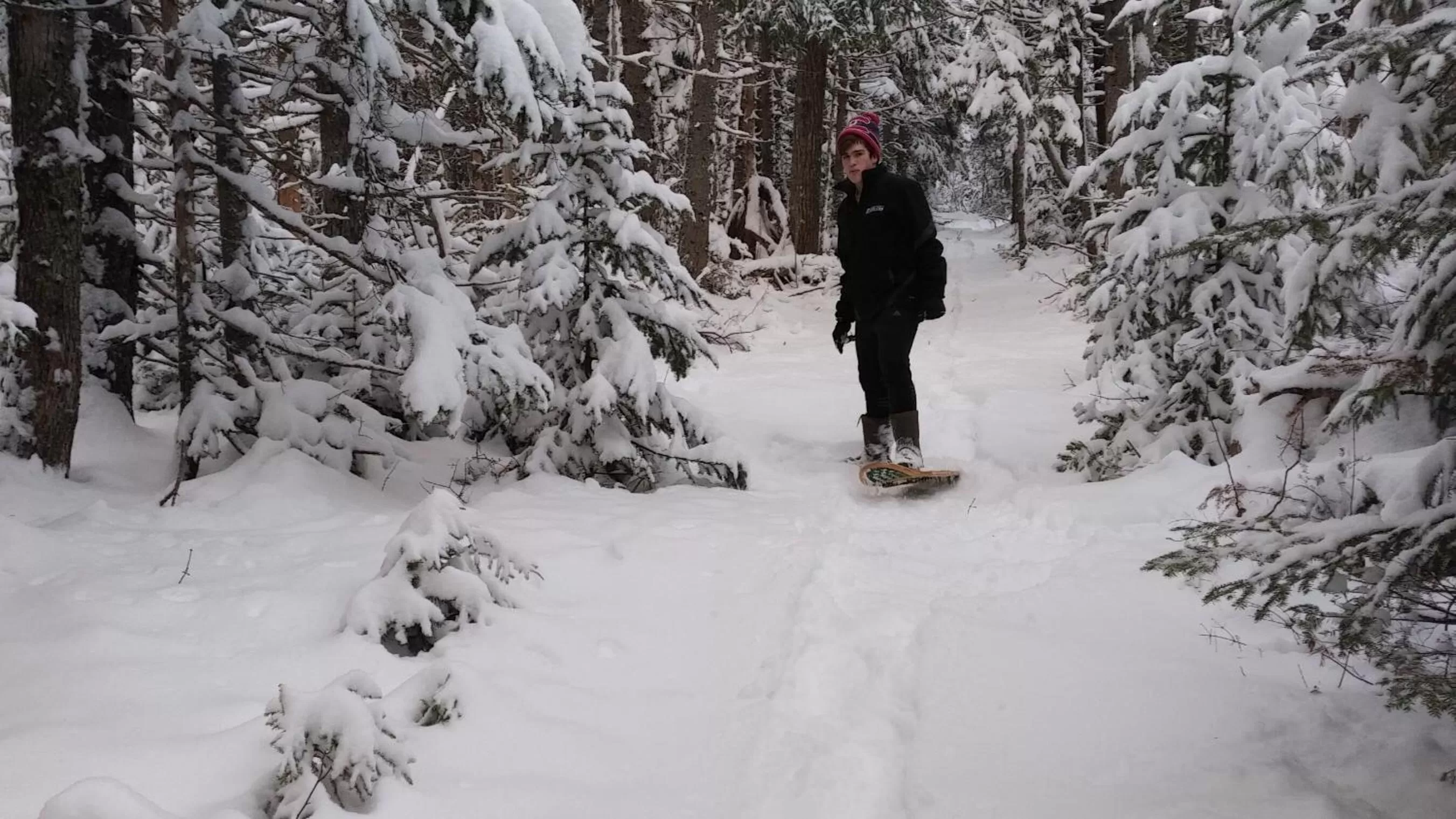Natural landscape, Winter in Amherst Shore Country Inn